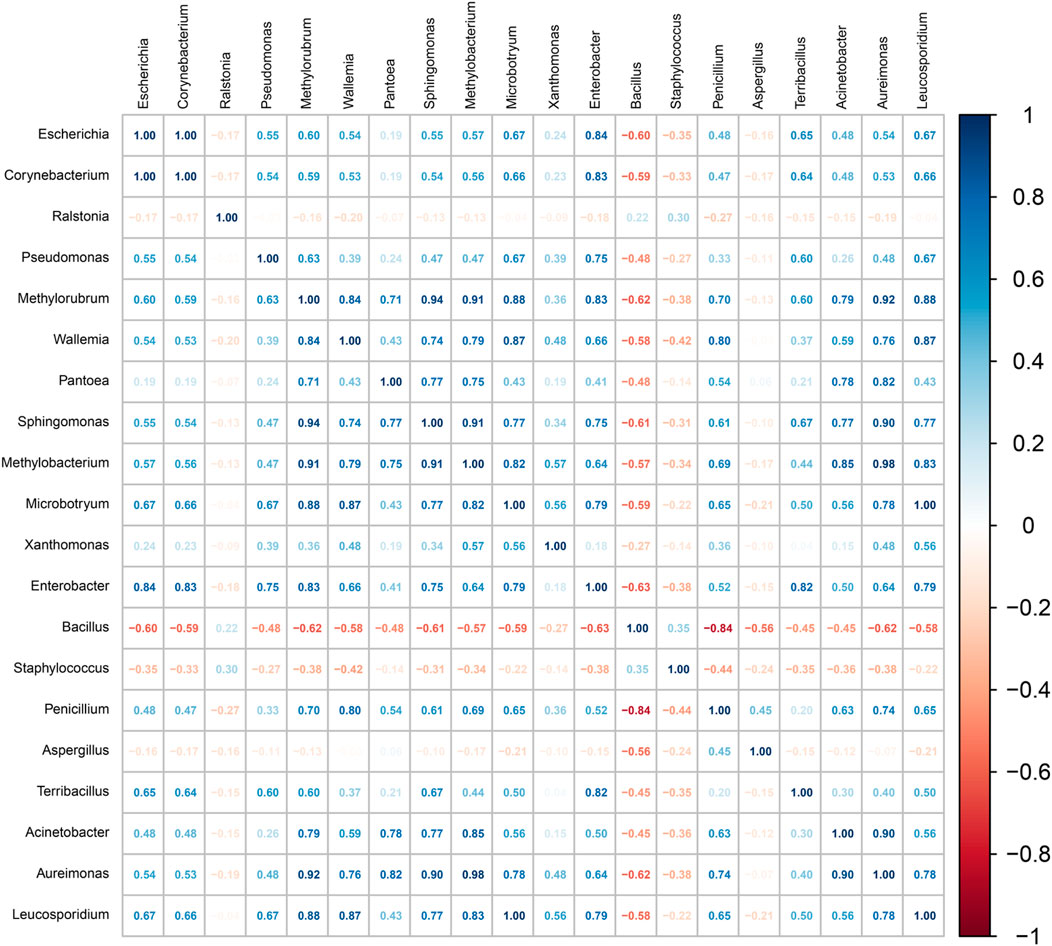 Heatmap showing the correlation between different bacterial and fungal genera. Positive correlations are in blue and negative correlations in red, with intensity indicating strength. The scale ranges from -1 to 1, representing strong negative to strong positive correlations respectively. Key genera include Escherichia, Pseudomonas, Bacillus, and Aspergillus.