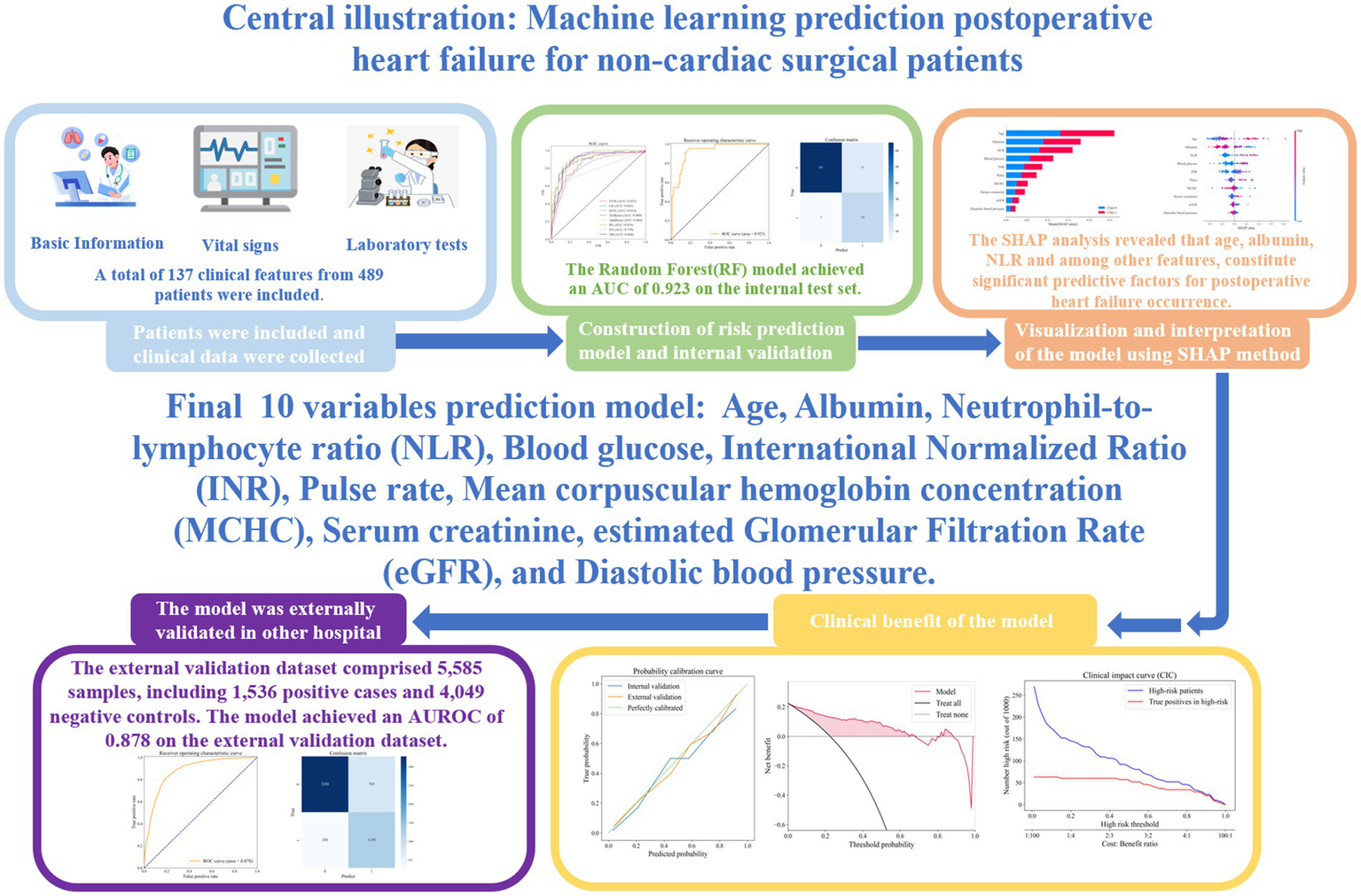 Flowchart illustrating a machine learning model for predicting postoperative heart failure in non-cardiac surgical patients. Data from 489 patients were used, leading to ten predictive variables such as age, albumin, and blood glucose. The Random Forest model achieved an AUC of 0.923 on the internal test set. SHAP analysis identified significant factors impacting heart failure occurrence. External validation included 5,585 samples, achieving an AUROC of 0.878. The model's clinical benefit and interpretability are highlighted with graphs explaining prediction accuracy and potential impacts.
