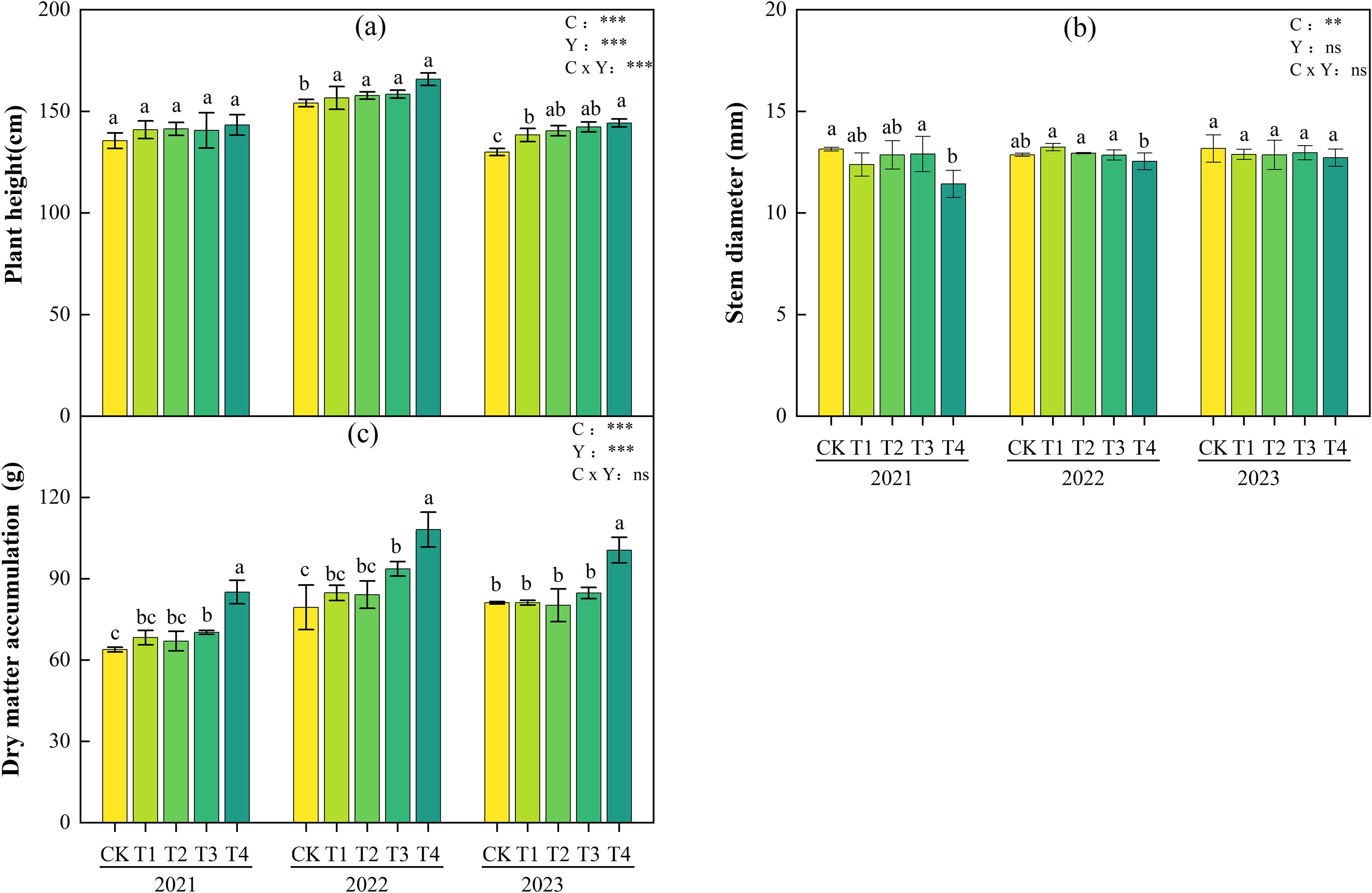 Three bar graphs showing plant growth metrics from 2021 to 2023. Graph (a) displays plant height in centimeters, with varying levels across treatments CK, T1, T2, T3, and T4. Graph (b) shows stem diameter in millimeters, indicating slight variations. Graph (c) presents dry matter accumulation in grams, with significant differences noted between treatments. Significance levels are denoted alongside each graph: C, Y, and C × Y with respective stars or 'ns' for not significant.