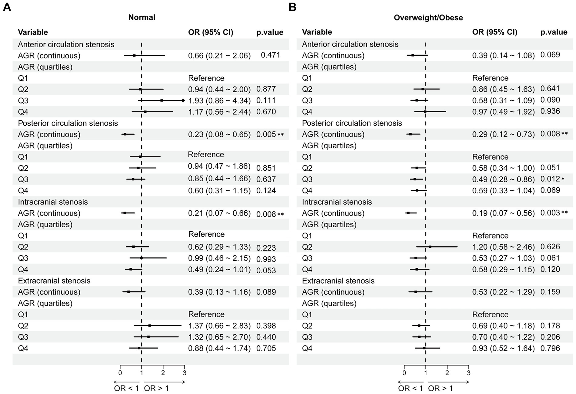 Forest plots compare odds ratios for stenosis in normal versus overweight/obese individuals across various vascular conditions, including anterior, posterior, intracranial, and extracranial stenosis. Subgroups are assessed using AGR (arterial geometrical remodeling) in continuous and quartile forms. Each plot presents odds ratio with confidence intervals and p-values, indicating statistical significance. Statistical significance is marked by asterisks, with notable results seen in posterior circulation stenosis and intracranial stenosis for both weight categories. The plots illustrate potential differences in vascular condition impacts based on weight classification.
