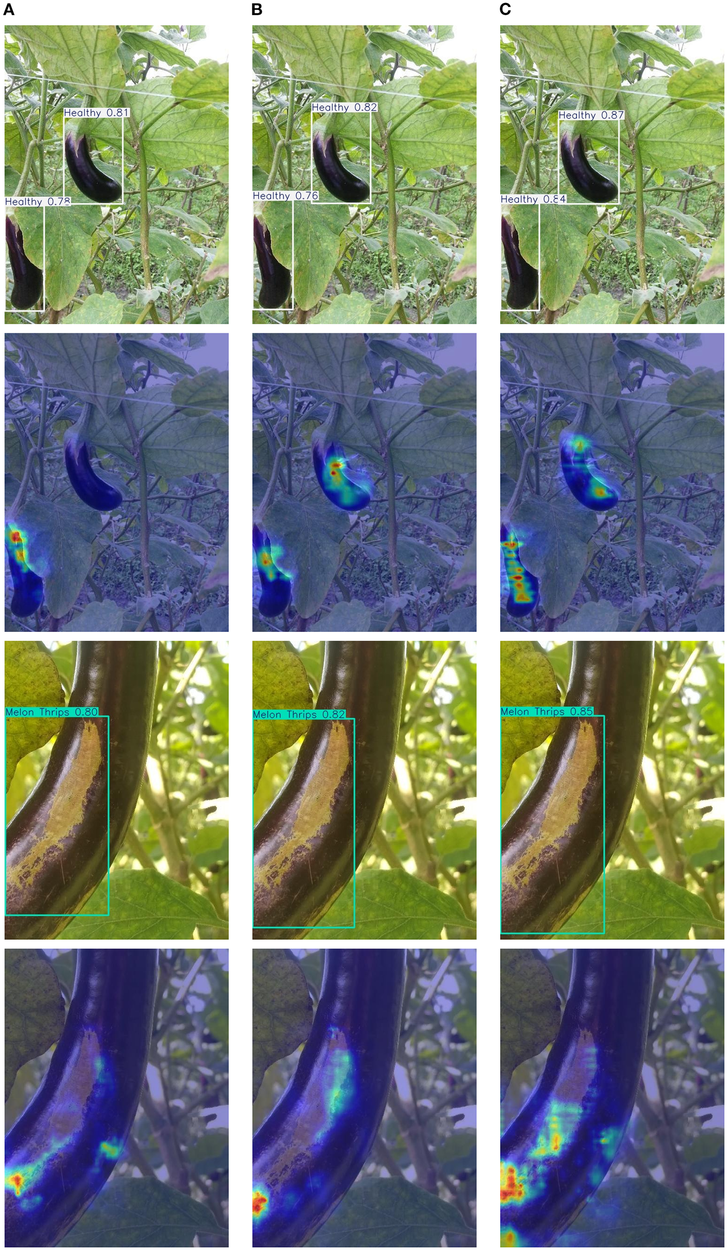 Three panels labeled A, B, and C show eggplants on a plant with text labels indicating health scores. Below each panel are thermal or spectral analysis images highlighting areas of concern. Close-ups identify “Melon Thrips” with varying confidence scores on the eggplant surface.
