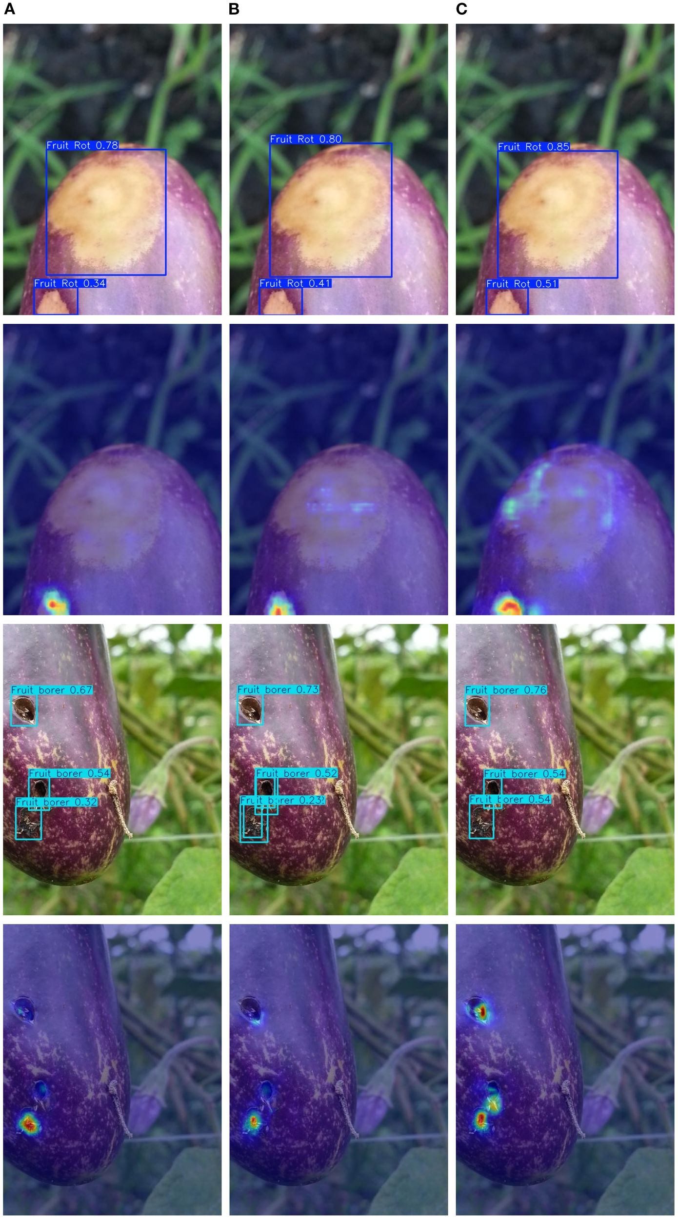 Image depicting three columns labeled A, B, and C, each with four panels of eggplant images. The top panels show eggplants with boxes indicating “Fruit Rot” and confidence scores. The second panels display heat maps highlighting affected areas. The third panels feature eggplants with boxes labeled “Fruit borer” and confidence scores. The bottom panels show heat maps indicating regions of fruit borer damage.