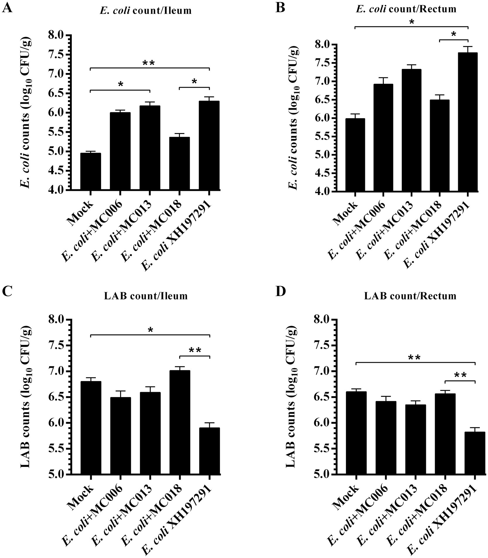 Four bar graphs labeled A, B, C, and D depict bacterial counts in different intestinal regions. Graph A shows E. coli counts in the ileum with significant increases across treatments. Graph B shows E. coli counts in the rectum, also increasing significantly. Graph C shows LAB counts in the ileum, with variations across treatments. Graph D shows LAB counts in the rectum, indicating significant differences. Error bars represent standard deviation, and asterisks denote statistical significance.