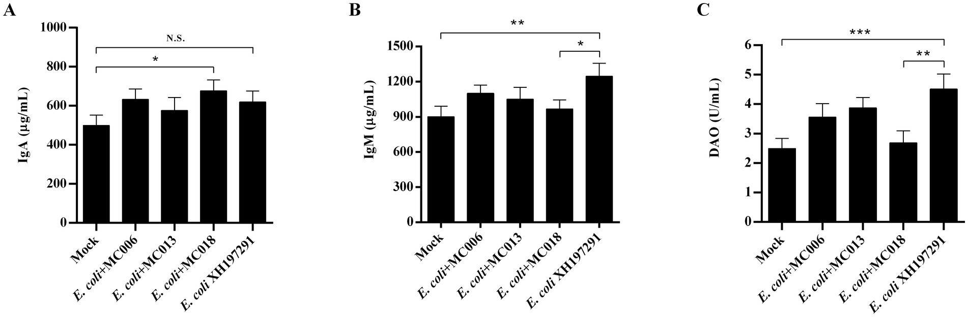 Bar graphs showing effects on IgA, IgM, and DAO levels. Chart A depicts IgA levels in micrograms per milliliter, with significant differences marked by an asterisk. Chart B shows IgM levels, also significant as indicated by double asterisks. Chart C displays DAO levels in units per milliliter, with significant differences marked by double and triple asterisks. The x-axis categories include Mock, E. coli with MC006, MC013, MC018, and E. coli XH197291. Error bars are present on each bar.