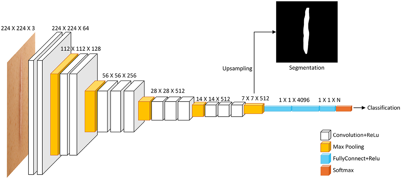 Diagram illustrating a deep learning model structure for image processing. It shows layers including Convolution and ReLU, Max Pooling, Fully Connected with ReLU, and Softmax. The input is a 224 x 224 x 3 image. Outputs include a segmentation image through upsampling and a classification result. Layer dimensions decrease from left to right, with specified sizes at each stage.