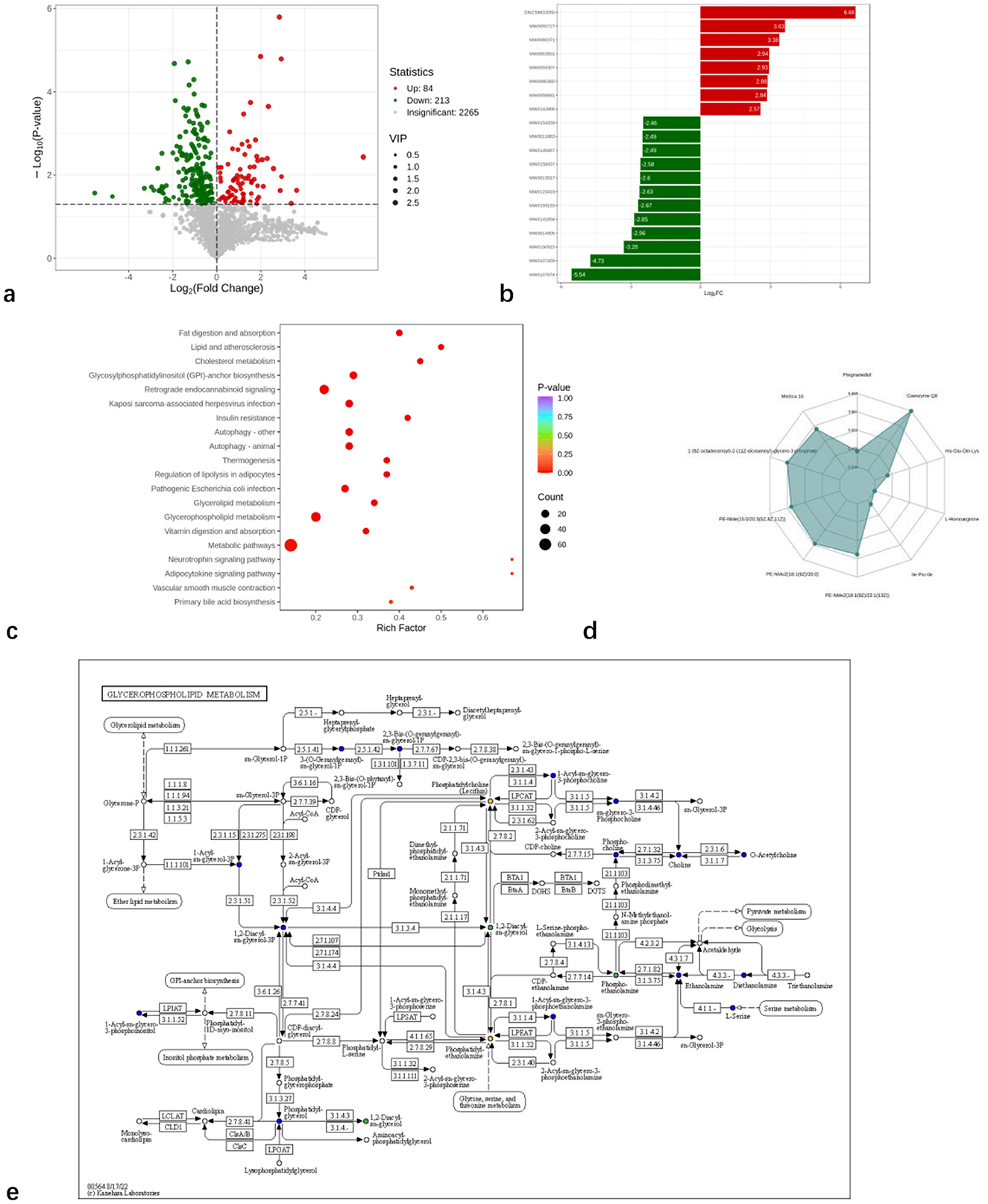 a) Scatter plot with green and red points showing log fold changes versus negative log p-values; gray indicates insignificant. b) Bar chart with statistics indicating significant upregulated (red) and downregulated (green) items. c) Bubble chart depicting various metabolic pathways with p-values and rich factors; larger bubbles represent higher counts. d) Radar chart comparing multiple parameters in a star plot format. e) Complex metabolic pathway diagram labeled “Glycerophospholipid Metabolism” with interconnected components and reactions.