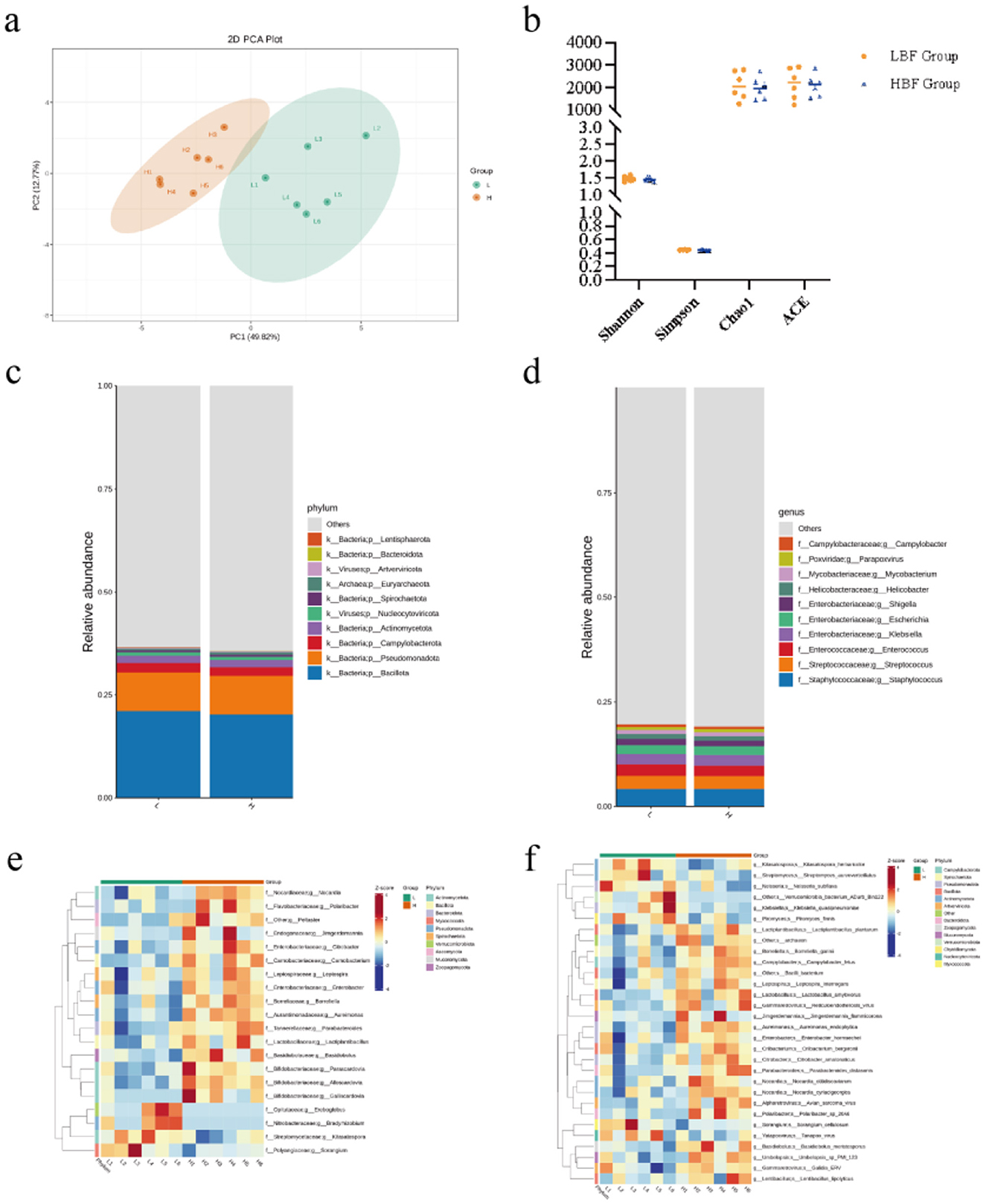 Panel (a) shows a 2D PCA plot with clusters for two groups. Panel (b) presents a scatter plot comparing richness and diversity indices (Shannon, Simpson, Chao1, ACE) between LBF and HBF groups. Panel (c) illustrates a stacked bar chart of relative abundance at the phylum level, while panel (d) focuses on the genus level. Panels (e) and (f) display heatmaps illustrating microbial composition differences, with clustering by species.
