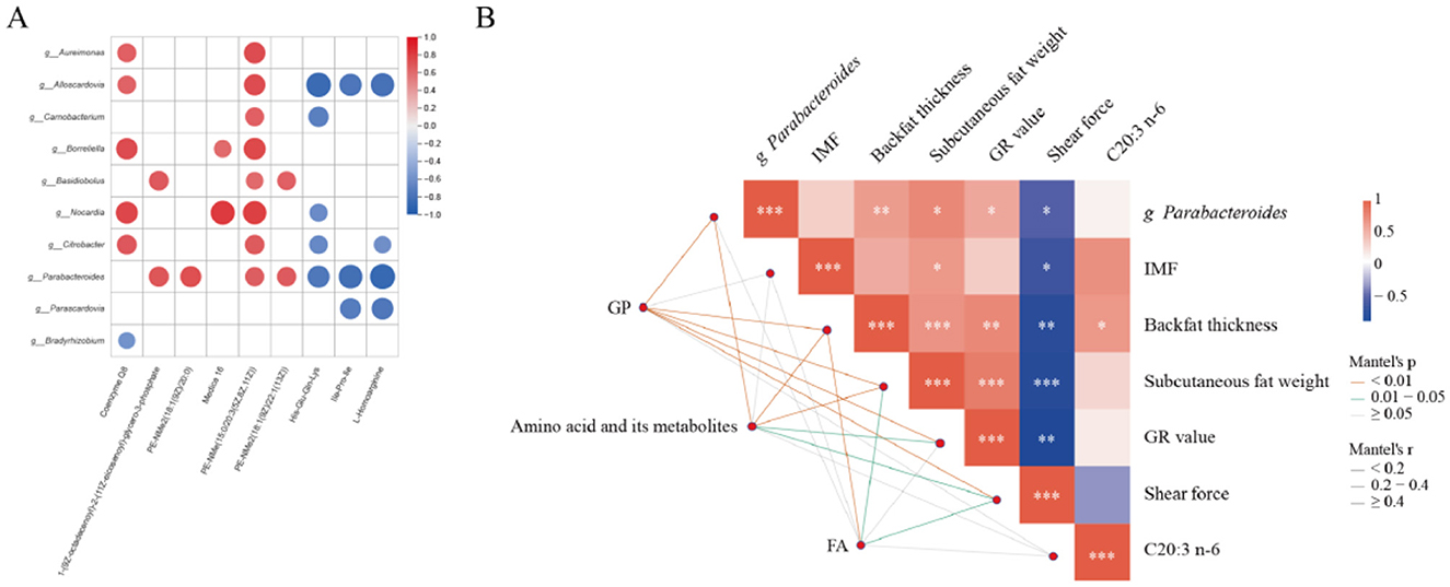 A panel with two sections: (A) A correlation matrix displaying relationships between bacterial genera and various factors, with color gradients from red to blue indicating correlation strength. (B) A second correlation matrix highlighting connections between a specific genus, physiological traits, and fatty acids, with lines indicating Mantel's test results. Color intensity reflects correlation values.