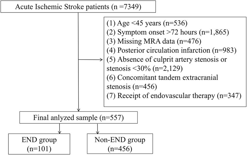 Flowchart detailing the selection process of acute ischemic stroke patients. It starts with 7,349 patients; exclusions include age under 45 (536), symptom onset over 72 hours (1,865), missing MRA data (476), posterior circulation infarction (983), artery stenosis less than 30 percent (2,129), concomitant tandem extracranial stenosis (456), and receipt of endovascular therapy (347). The final analyzed sample is 557 patients, divided into an END group with 101 patients and a non-END group with 456 patients.
