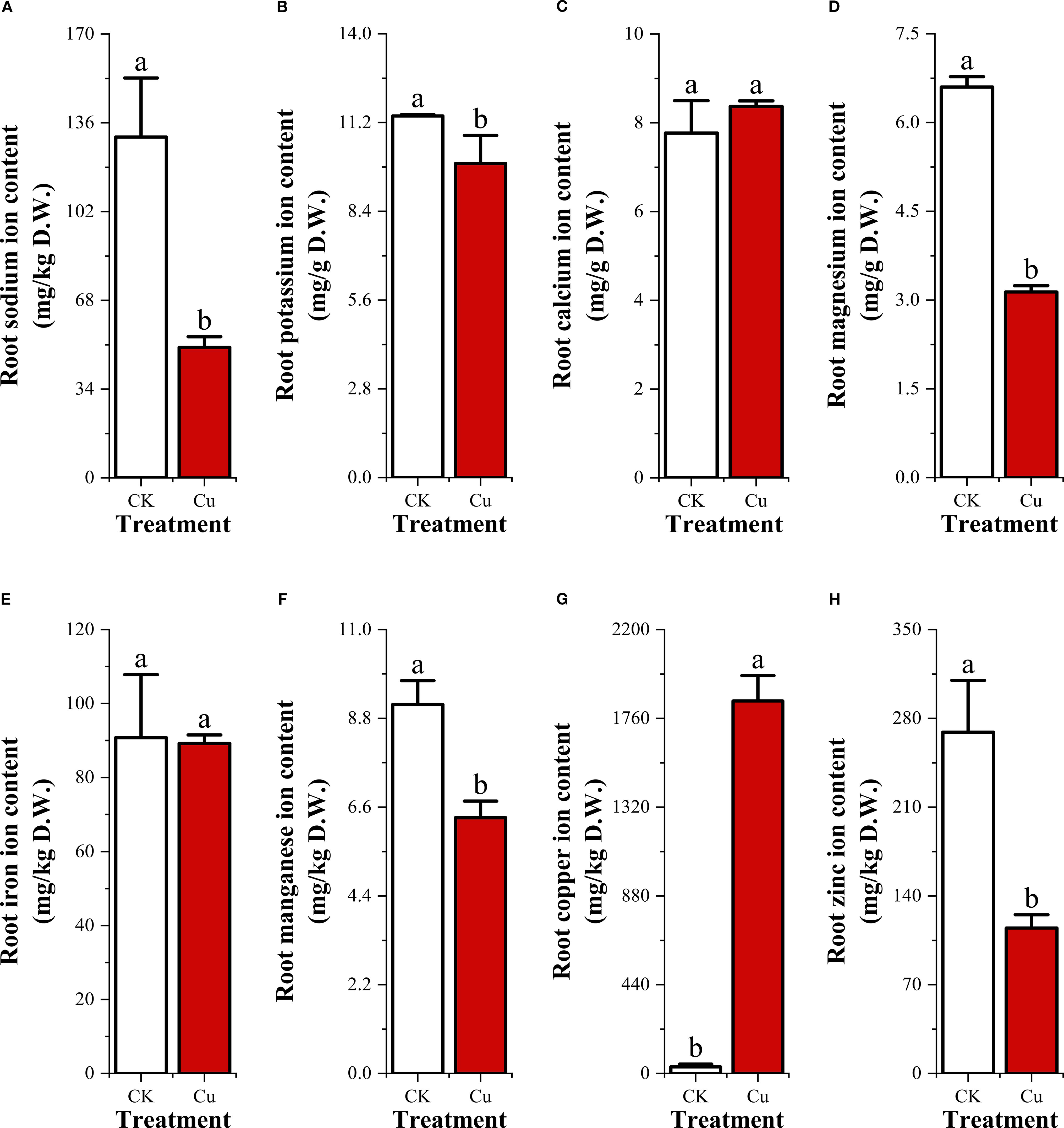 Eight bar charts depict root ion content under two treatments: CK (control) and Cu (copper exposure). Each graph shows different ions: sodium, potassium, calcium, magnesium, iron, manganese, copper, and zinc. Generally, Cu treatment results in lower sodium, magnesium, manganese, and zinc contents, while potassium, calcium, iron, and copper contents demonstrate an increase compared to CK. Statistical significance is indicated by letters above the bars, with “a” and “b” denoting significant differences between treatments.