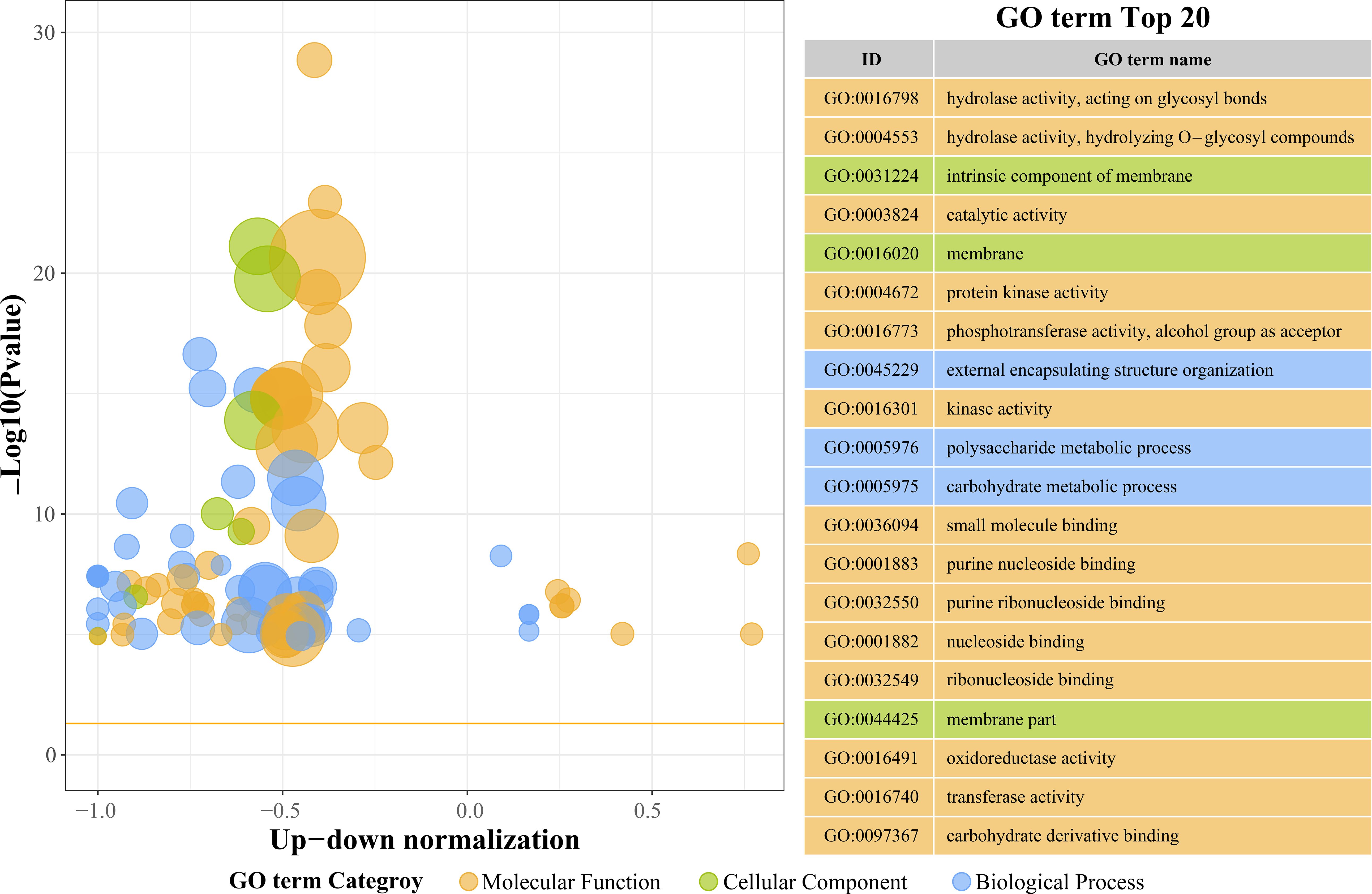 Scatter plot showing top 20 Gene Ontology (GO) terms with up-down normalization on the x-axis and negative log p-value on the y-axis. Dots, colored by category (molecular function, cellular component, biological process), represent various GO terms. Larger and higher-positioned dots indicate more significant results. A table lists GO IDs and names corresponding to the plotted data.