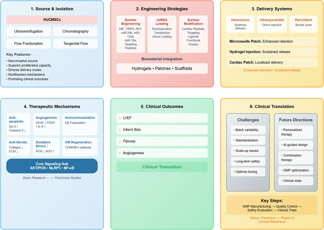 Flowchart depicting six sections of a therapeutic strategy:1. Source & Isolation: Includes HUCMCs, ultracentrifugation, chromatography, with features like non-invasive sourcing and promising outcomes.2. Engineering Strategies: Discusses genetic engineering, miRNA loading, and surface modification with biomaterial options.3. Delivery Systems: Lists intravenous, intramyocardial, peri-infarct methods, and types like microneedle patches.4. Therapeutic Mechanisms: Covers anti-apoptotic, angiogenesis, immunomodulation, and more.5. Clinical Outcomes: Notes improvements in LVEF, reduced infarct size, fibrosis, and increased angiogenesis.6. Clinical Translation: Addresses challenges and future directions like personalized therapy and AI-guided design.