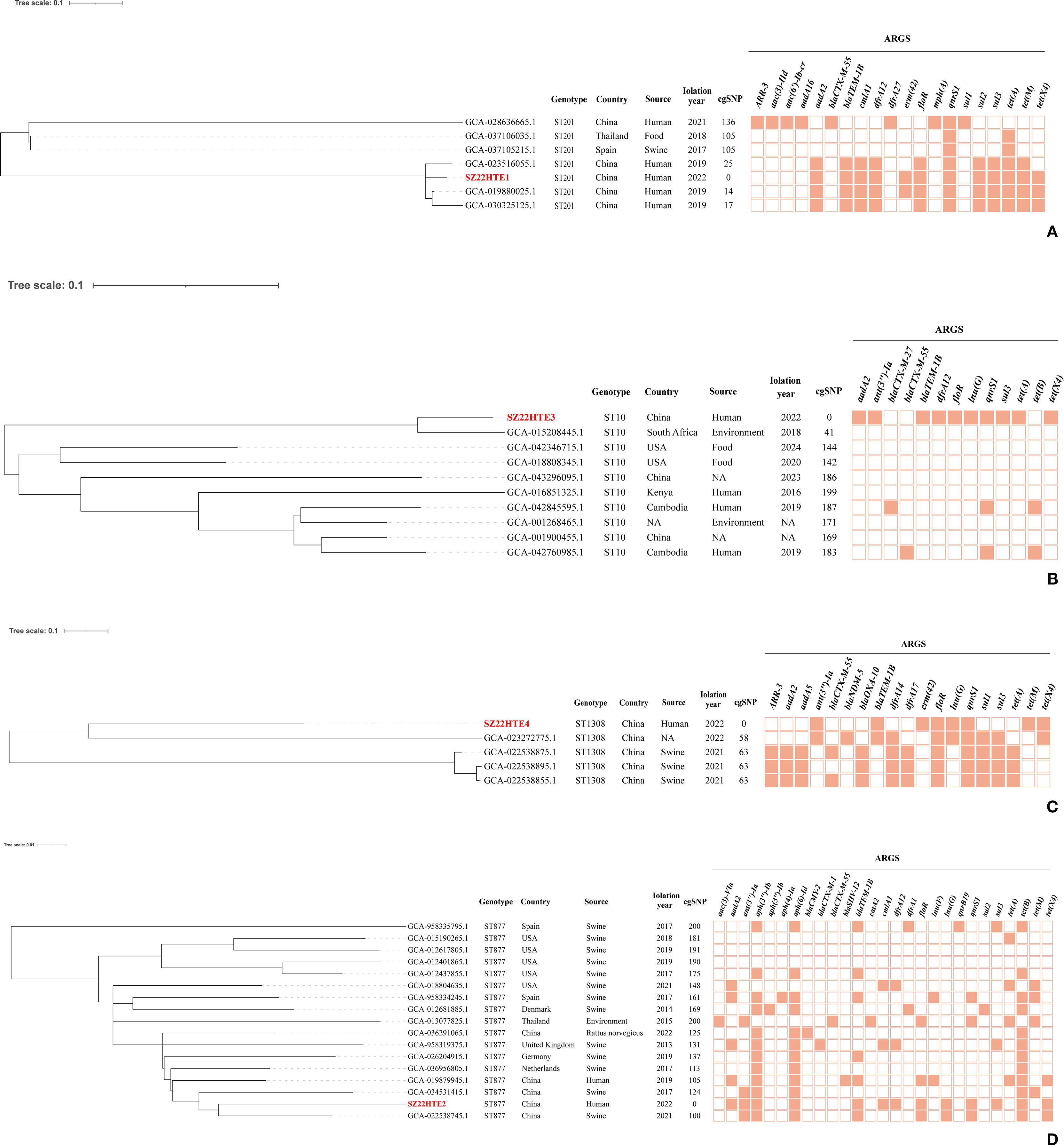 Phylogenetic tree diagrams display genetic relationships among samples labeled with genotypes, countries, sources, isolation years, and eSNP numbers. Adjacent heatmaps show ARG profiles, with darker shades indicating greater presence. The top tree represents ST301 lineage, the middle ST10, and the bottom ST13BG and ST797 lineages.
