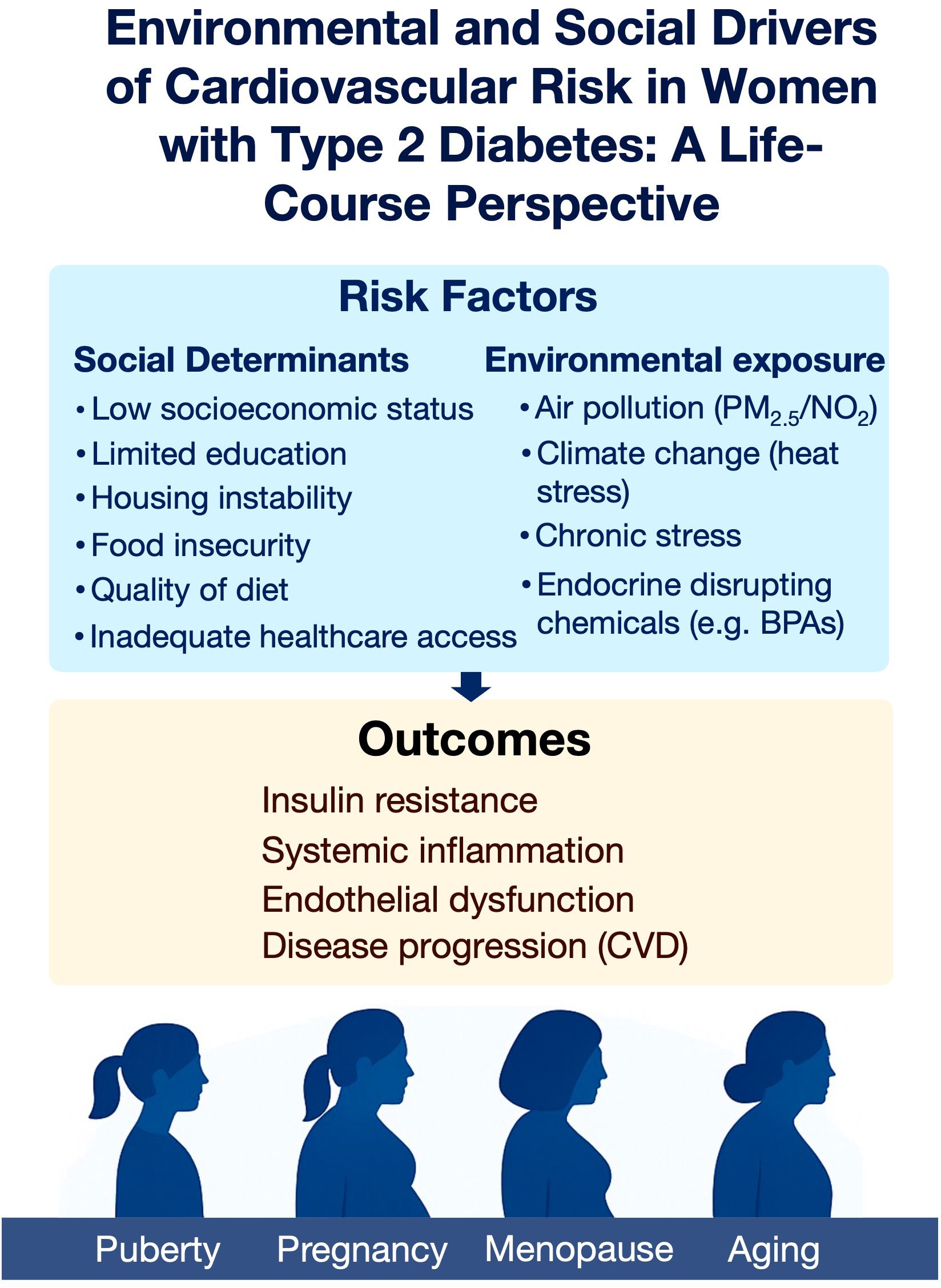 Environmental and social drivers of cardiovascular risk in women with diabetes include social determinants and environmental exposure. Social factors: low socioeconomic status, limited education, housing instability, food insecurity, poor diet, inadequate healthcare. Environmental factors: air pollution, climate change, chronic stress, endocrine disruptors. Outcomes: insulin resistance, systemic inflammation, endothelial dysfunction, disease progression. Life stages: puberty, pregnancy, menopause, aging.