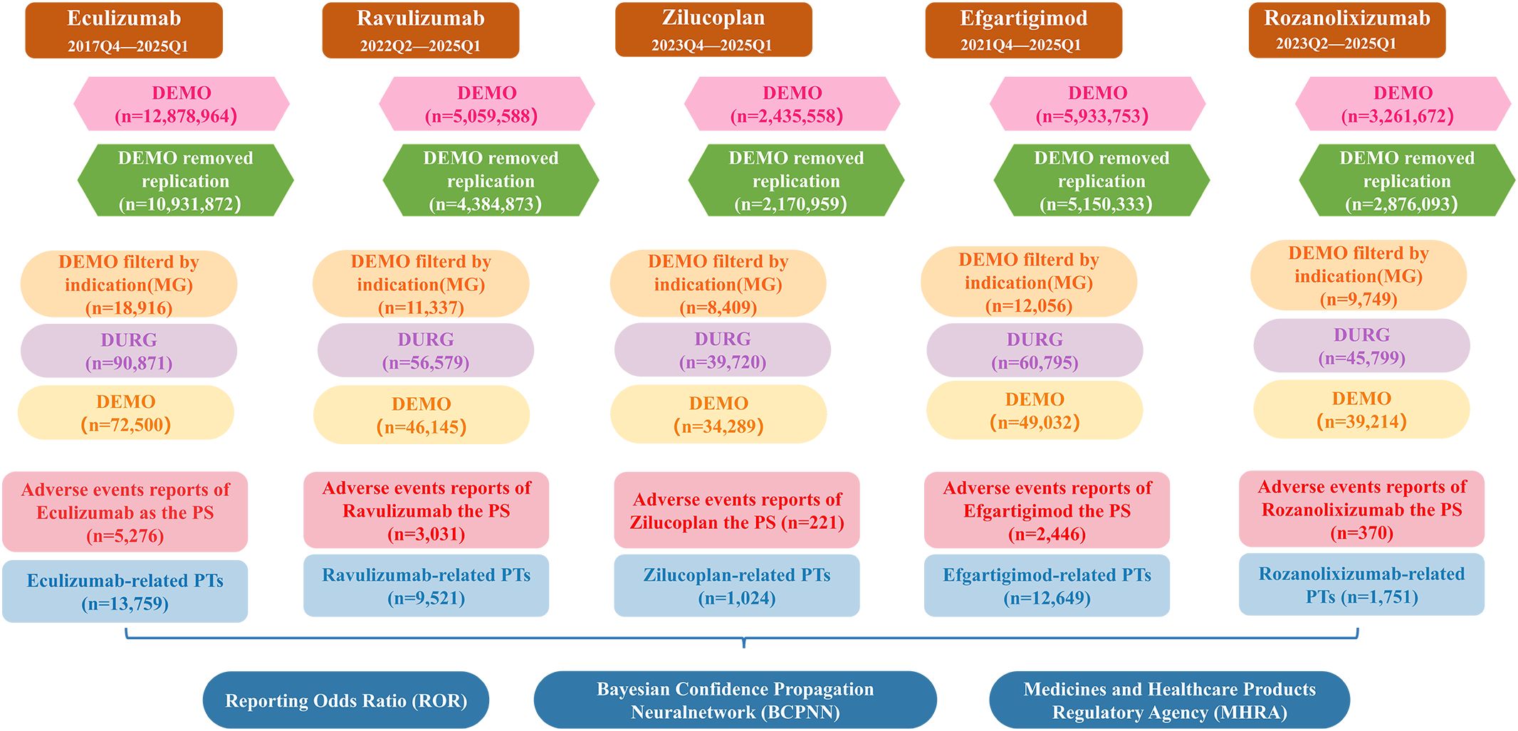 Flowchart illustrating adverse event data for five drugs: Eculizumab, Ravulizumab, Zilucoplan, Efgartigimod, and Rozanolixizumab over various periods. Each drug has two pathways starting from “DEMO” to “Adverse events reports” and leading to “Related PTs.” The progression is shown with decreasing sample sizes. The chart ends with analyses like Reporting Odds Ratio, BCPNN, and MHRA.