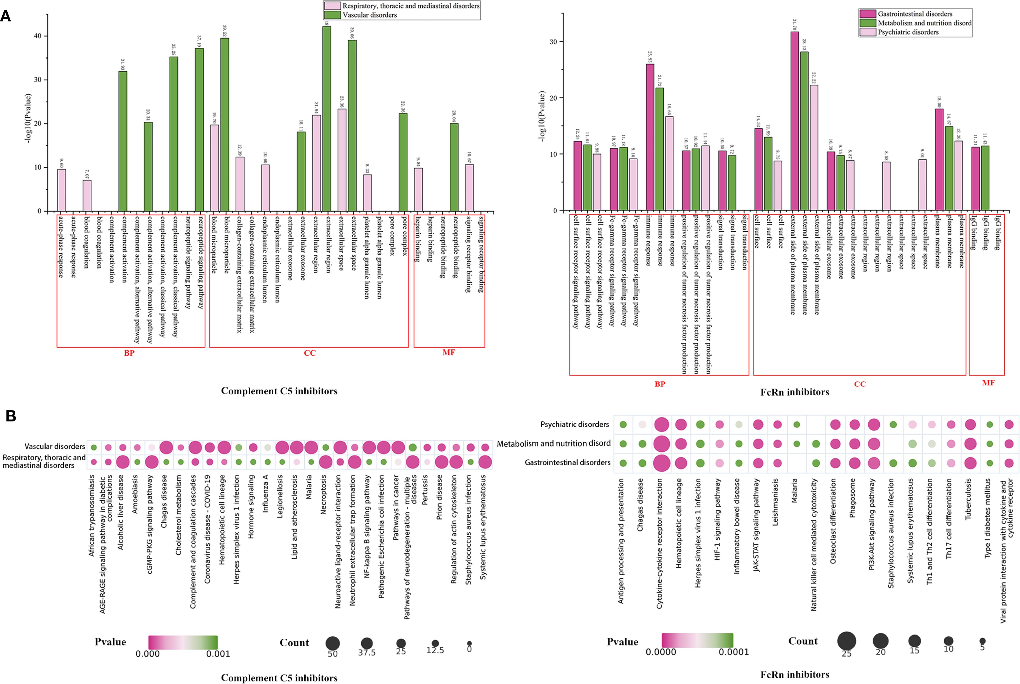 Bar charts and bubble charts illustrate the biological processes, cellular components, and molecular functions affected by complement C5 inhibitors and FcRn inhibitors. The bar charts (labeled A) show vertical bars representing various disorders, with color coding for different disorder categories. The bubble charts (labeled B) display colored bubbles indicating the prevalence (count) and significance (p-value) of specific pathways and disorders, with variable bubble sizes and colors corresponding to different categories such as vascular, psychiatric, and gastrointestinal disorders. Legends clarify the color coding and significance of values displayed.