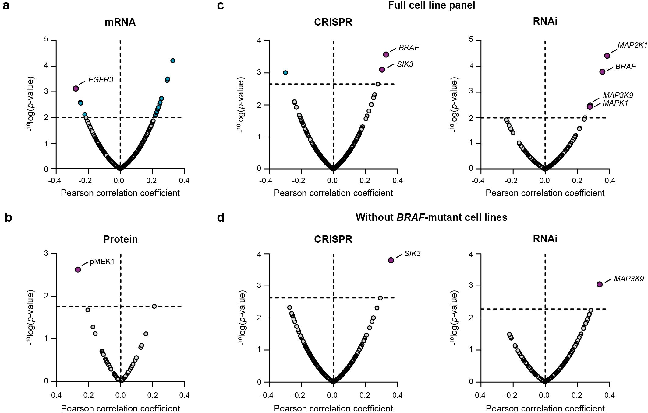 Four scatter plots show Pearson correlation coefficients against negative log p-values. (a) mRNA analysis highlights FGFR3. (b) Protein analysis highlights pMEK1. (c) Full cell line panel CRISPR analysis features BRAF and SIK3; RNAi highlights MAP2K1, BRAF, MAP3K9, and MAPK1. (d) Without BRAF-mutant cell lines, CRISPR highlights SIK3, and RNAi highlights MAP3K9. Dashed lines indicate significance thresholds.
