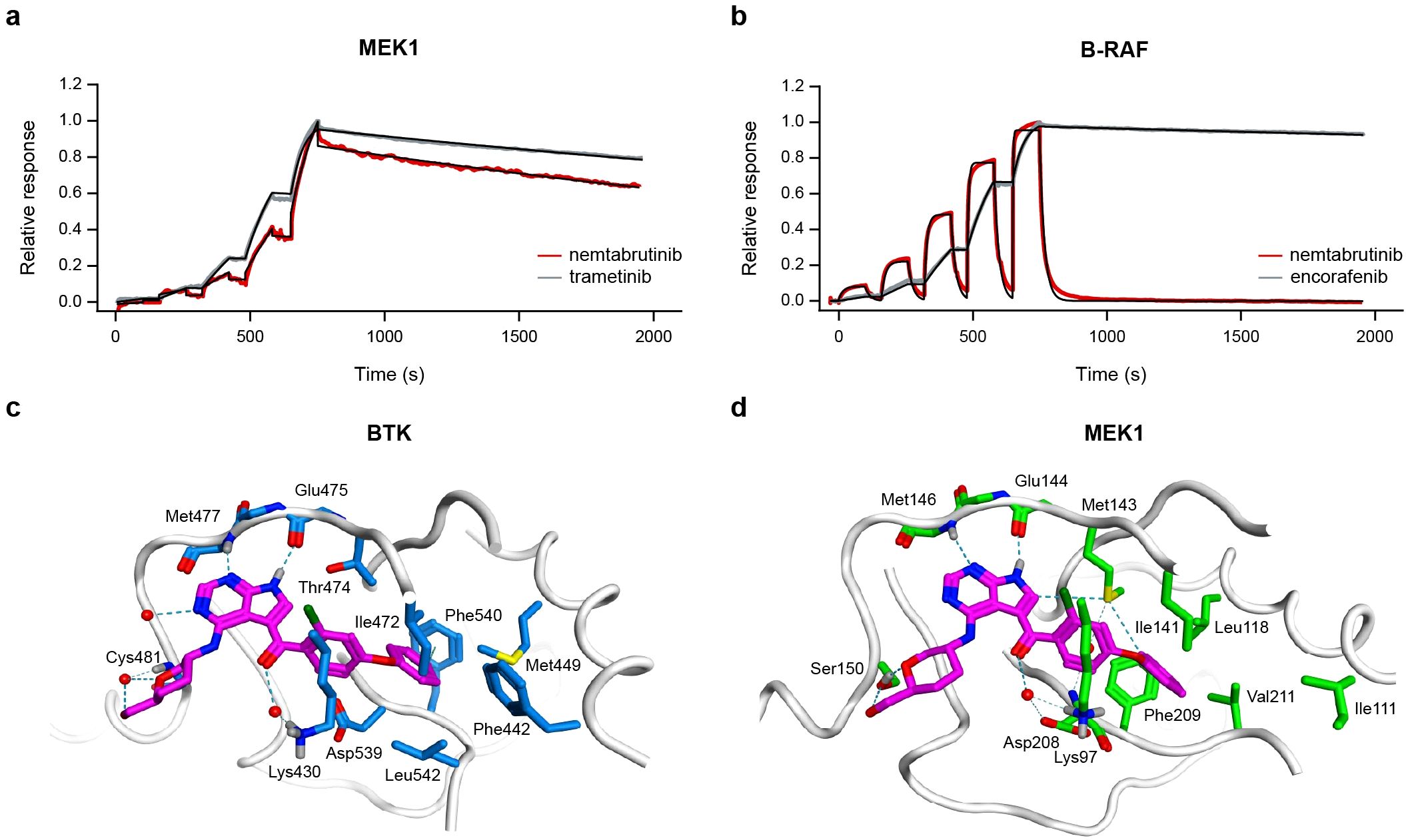 Graphs show responses over time in Biacore experiments. 3D models show results of molecular docking. (a) compares binding of nemtabrutinib to MEK1 with trametinib (b) of nembrabrutinib to B-RAF with encorafenib. Molecular diagrams of BTK (c) and MEK1 (d) depict interactions of nemtabrutinib with amino acids labeled.