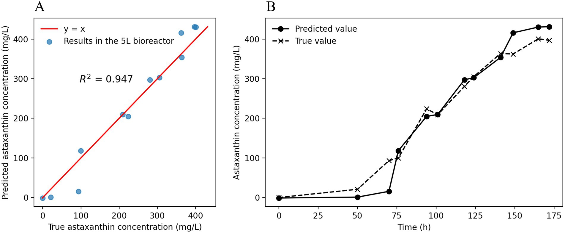 Chart A shows a scatter plot with true versus predicted astaxanthin concentrations, featuring a red y=x line and an R squared value of 0.947. Chart B shows two line graphs of astaxanthin concentration over time, with predicted values as solid circles and true values as crosses.
