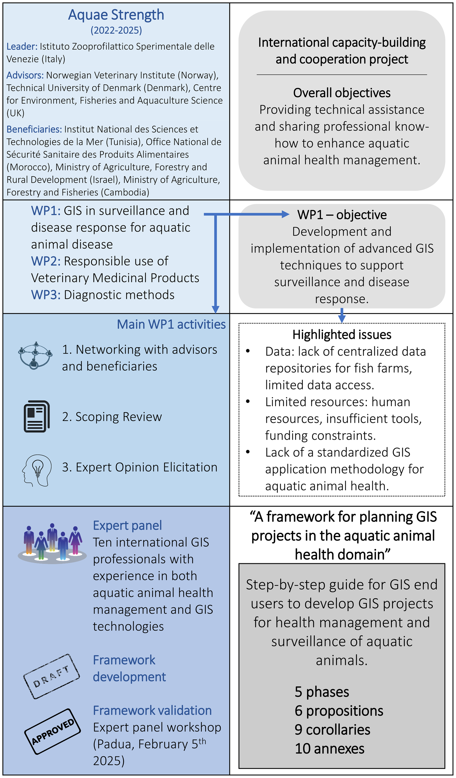 Infographic detailing the “Aquae Strength” project (2022-2025), led by Italy with advisors and beneficiaries from various countries. The international project aims to enhance aquatic animal health management through capacity-building. Key objectives include developing GIS techniques and responsible use of veterinary products. Main activities involve networking, scoping review, and expert opinion elicitation. Highlighted issues are data gaps, limited resources, and lack of standardized GIS methodologies. An expert panel creates a framework for GIS projects, featuring a step-by-step guide with five phases, six propositions, nine corollaries, and ten annexes.