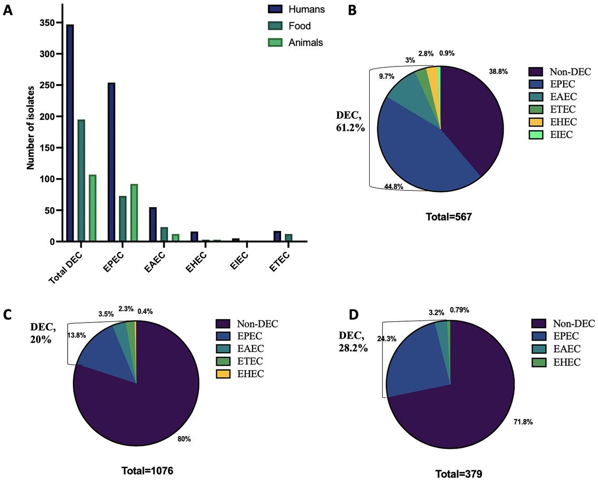 Bar and pie charts showing distribution of DEC isolates. Chart A displays the number of isolates from humans, food, and animals across categories like EPEC, EAEC, EHEC, EIEC, and ETEC, with humans having the highest total DEC. Pie charts B, C, and D show percentage distributions of DEC and non-DEC isolates in totals of 567, 1076, and 379, respectively. DEC accounts for 61.2% in B, 20% in C, and 28.2% in D, with non-DEC being predominant in all. Color coding differentiates isolate types.