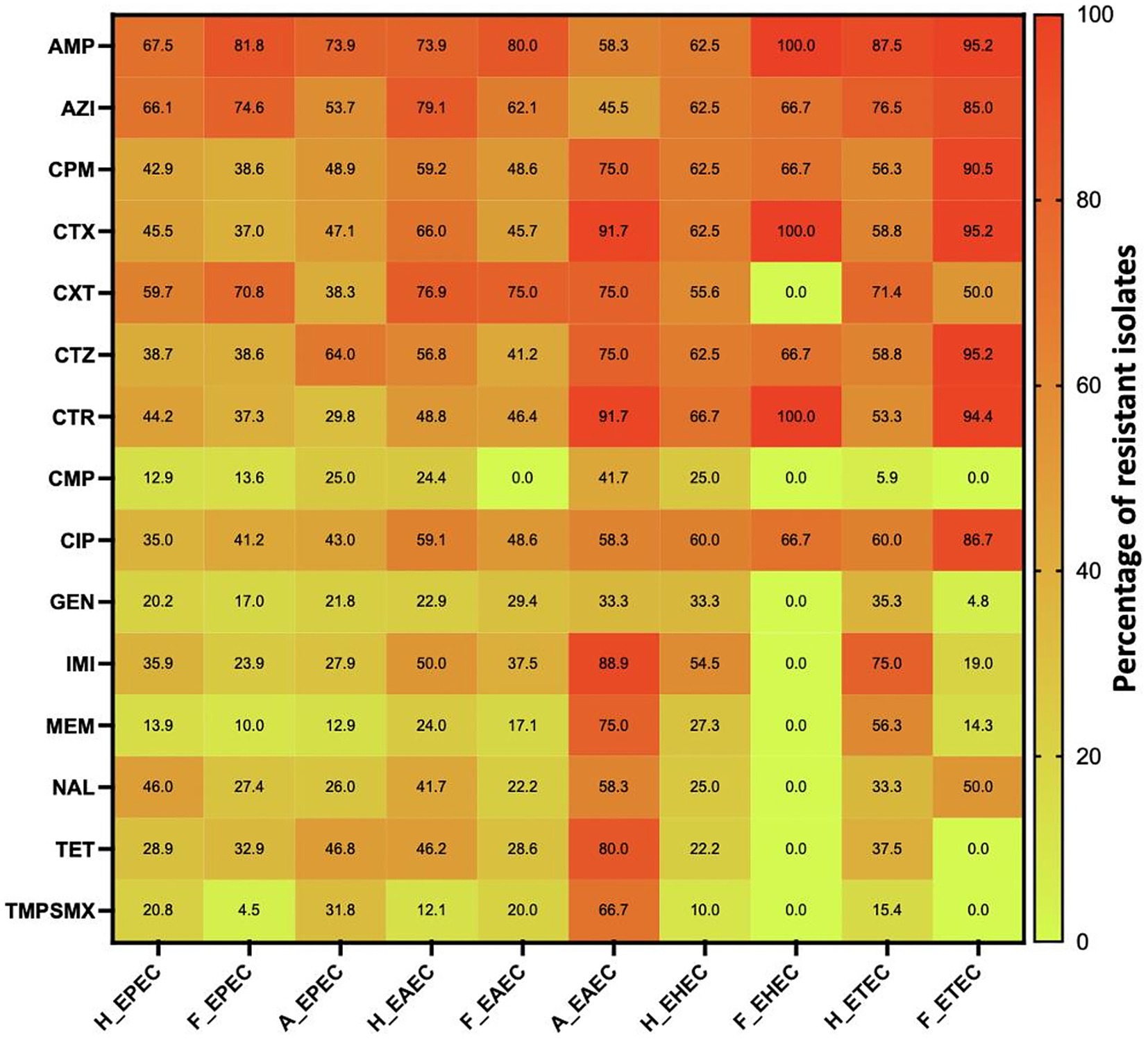 Heatmap displaying the percentage of resistant isolates to various antibiotics. Rows represent antibiotics (AMP, AZI, CPM, etc.), while columns are different bacterial groups (H_EPEC, F_EPEC, etc.). Colors range from green (low resistance) to red (high resistance). Values inside cells indicate resistance percentage, with darker red showing higher resistance.