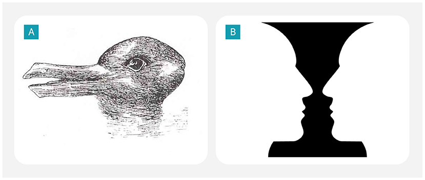 Panel A features an optical illusion showing an image that can be perceived as both a duck and a rabbit, depending on how it is viewed. Panel B depicts a Rubin vase illusion, where two profiles facing each other create the silhouette of a vase in the negative space between them.