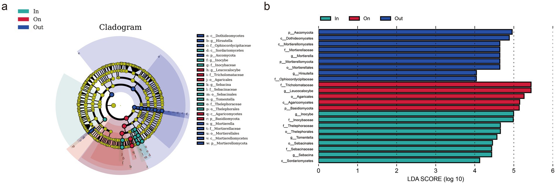 Cladogram and bar graph illustrating microbial taxonomic abundance. The cladogram depicts microbial categories with color-coded regions indicating