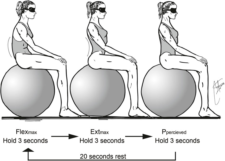 Illustration of a person sitting on an exercise ball, demonstrating three positions: forward flexion, extension, and neutral posture. Each position is held for three seconds with twenty seconds rest between sets.
