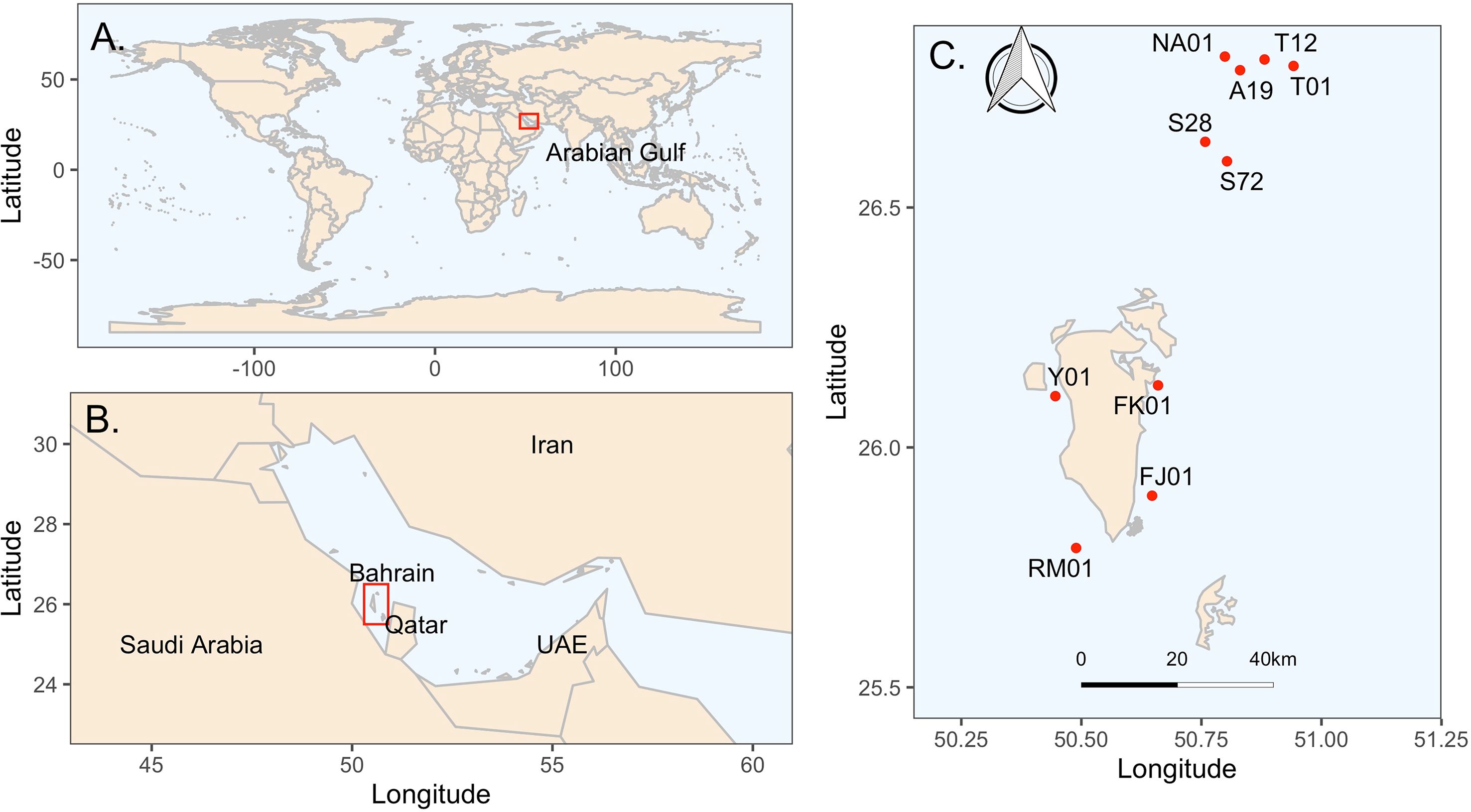 Three-panel map illustration. Panel A shows a world map highlighting the Arabian Gulf in a red box. Panel B zooms into the Arabian Gulf, displaying Saudi Arabia, UAE, Qatar, Bahrain, and Iran. Panel C further zooms in, marking several specific locations with red dots labeled NA01, T12, A19, T01, S28, S72, Y01, FK01, FJ01, and RM01. A scale bar indicates 0 to 40 kilometers.