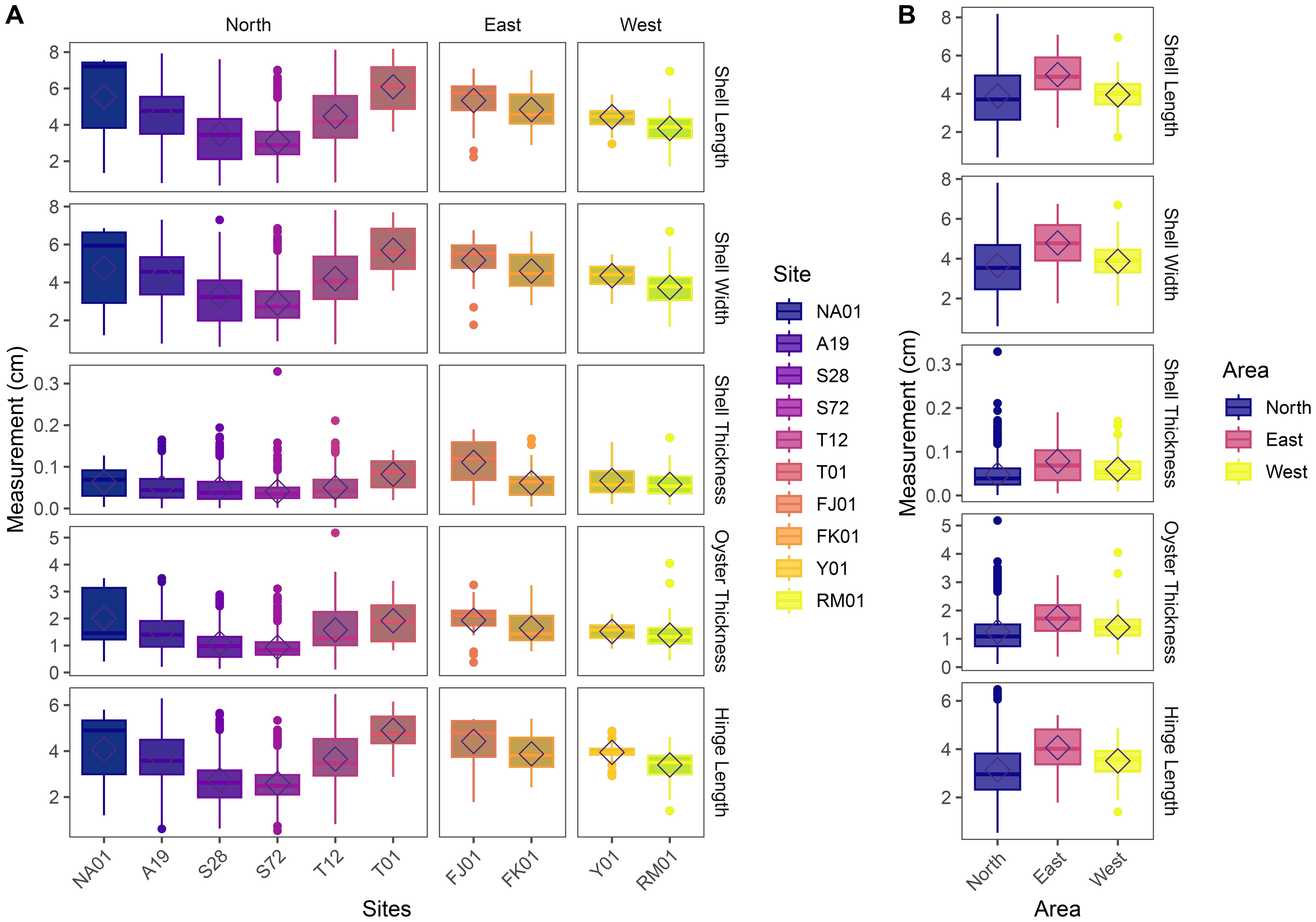 Box plots illustrating measurements of shell length, shell width, shell thickness, oyster thickness, and hinge length. Panel A compares sites NA01, A19, S28, S72, T12, T01, FJ01, FK01, Y01, RM01 in North, East, and West areas with distinct colors representing each site. Panel B compares North, East, and West areas directly. Measurements are in centimeters, with a legend indicating site and area colors.