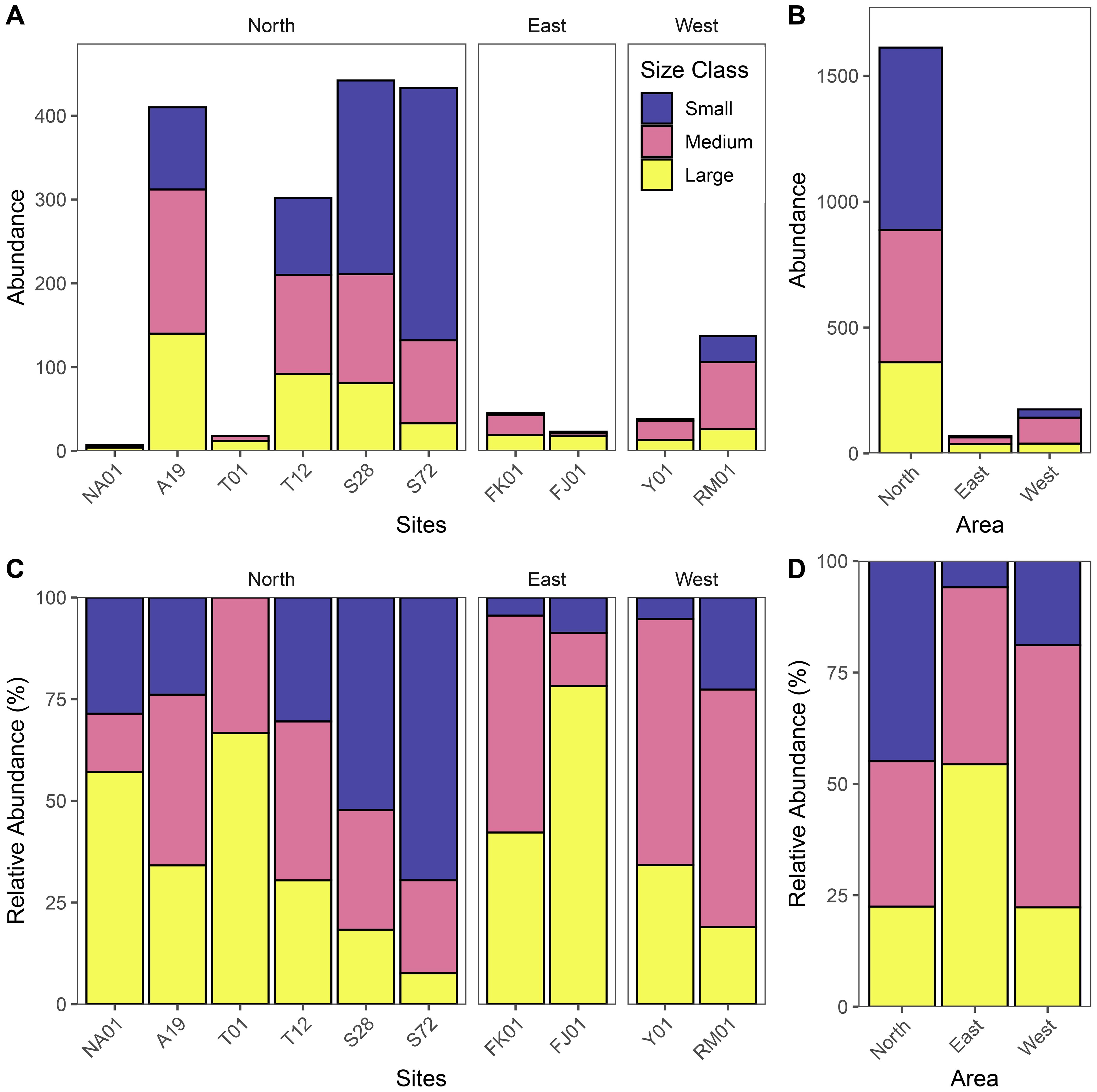 Grouped bar charts labeled A, B, C, and D display abundance and relative abundance by size class across different regions. Each bar is divided into sections for small, medium, and large size classes, marked in blue, pink, and yellow respectively. Panels A and B show overall abundance across North, East, and West regions, while C and D depict relative abundance percentages for the same regions.