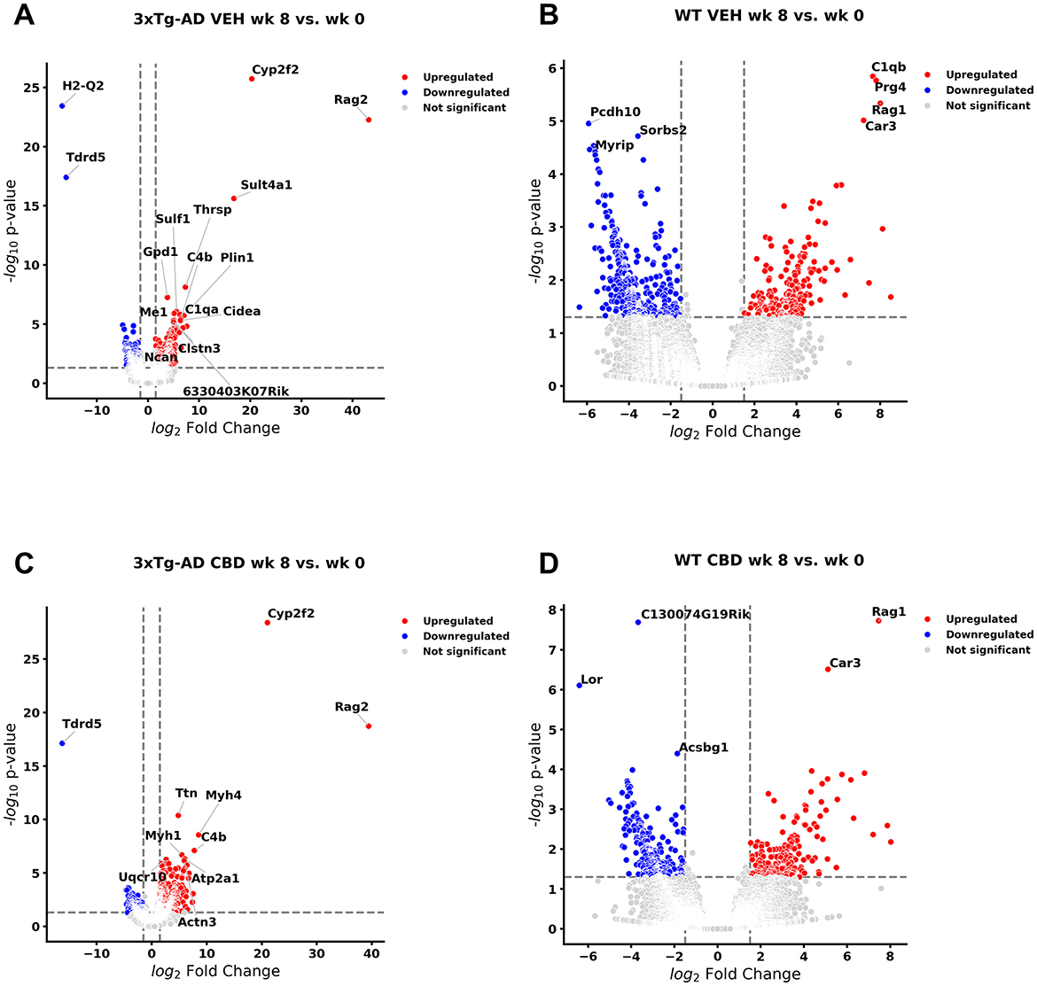 Four volcano plots compare gene expression changes. Each plot shows log2 fold change versus negative log10 p-value. Panel A: 3xTg-AD VEH week 8 vs. week 0, Panel B: WT VEH week 8 vs. week 0, Panel C: 3xTg-AD CBD week 8 vs. week 0, Panel D: WT CBD week 8 vs. week 0. Red points indicate upregulated genes, blue for downregulated, and gray for not significant. Key genes are labeled.