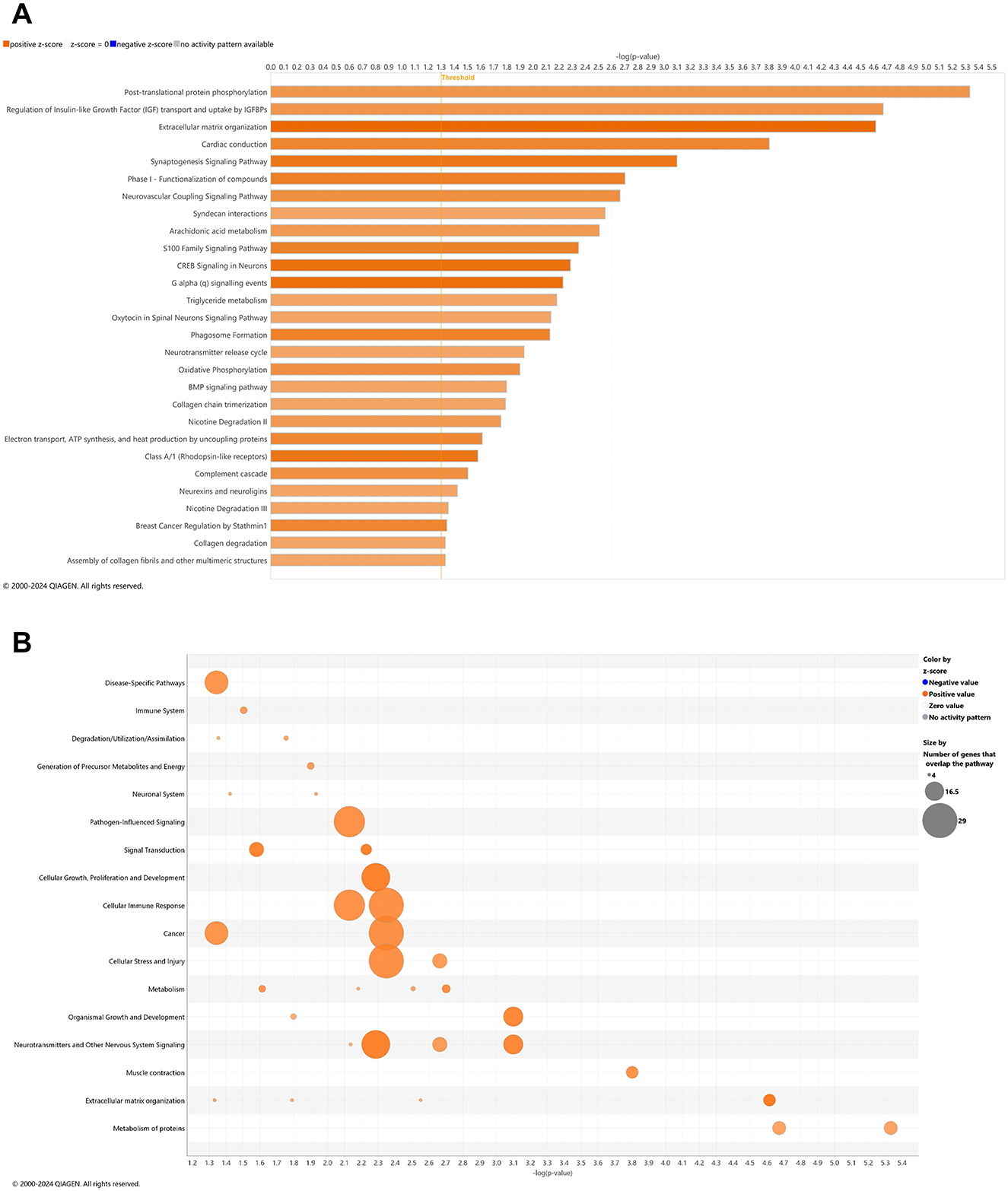 Chart A displays a ranked bar graph showing canonical pathways names versus -log10 p-value. Pathways are color-coded based on expression: positive (orange) or negative (blue) z-score, and those without activity patterns. Chart B features bubble plots of the number of genes that overlap with major pathway categories (y-axis) and their -log10 p-value (x-axis). Bubble size represents the number of genes in each pathway, with color indicating expression patterns (increase = orange and decrease = blue).