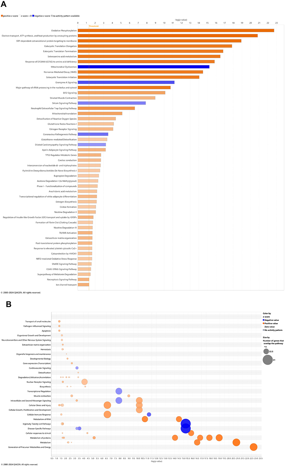 Chart A displays a ranked bar graph showing canonical pathways names versus -log10 p-value. Pathways are color-coded based on expression: positive (orange) or negative (blue) z-score, and those without activity patterns. Chart B features bubble plots of the number of genes that overlap with major pathway categories (y-axis) and their -log10 p-value (x-axis). Bubble size represents the number of genes in each pathway, with color indicating expression patterns (increase = orange and decrease = blue).