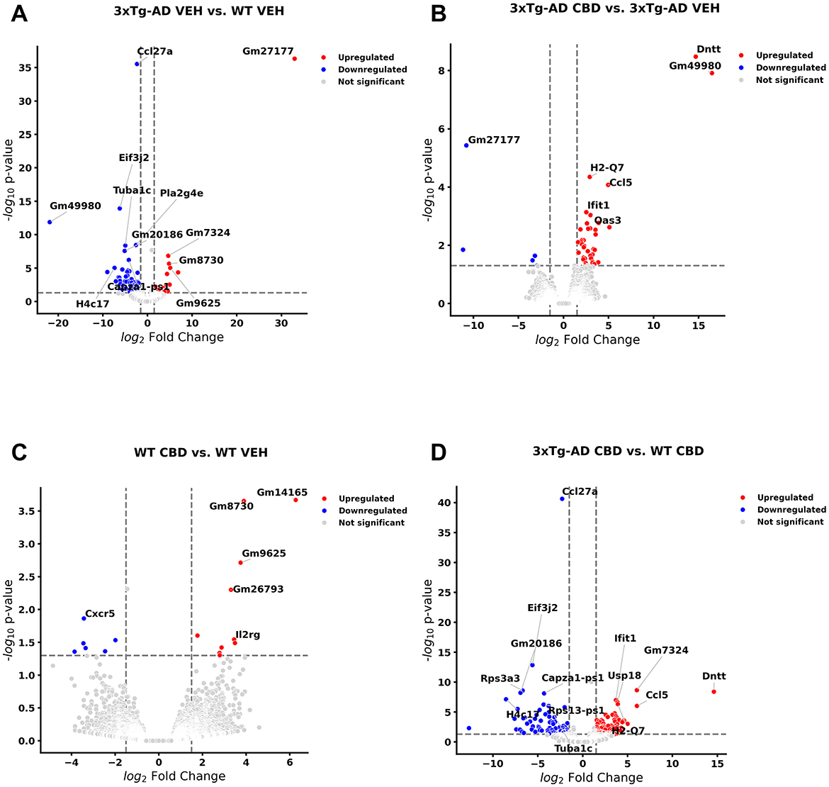 Four volcano plots (A, B, C, D) display gene expression changes. Plot A compares 3xTg-AD VEH to WT VEH, highlighting upregulated (red) and downregulated (blue) genes. Plot B shows 3xTg-AD CBD versus 3xTg-AD VEH, Plot C contrasts WT CBD with WT VEH, and Plot D compares 3xTg-AD CBD to WT CBD. Each plot marks genes with significant expression changes and labels those exceeding significance thresholds.