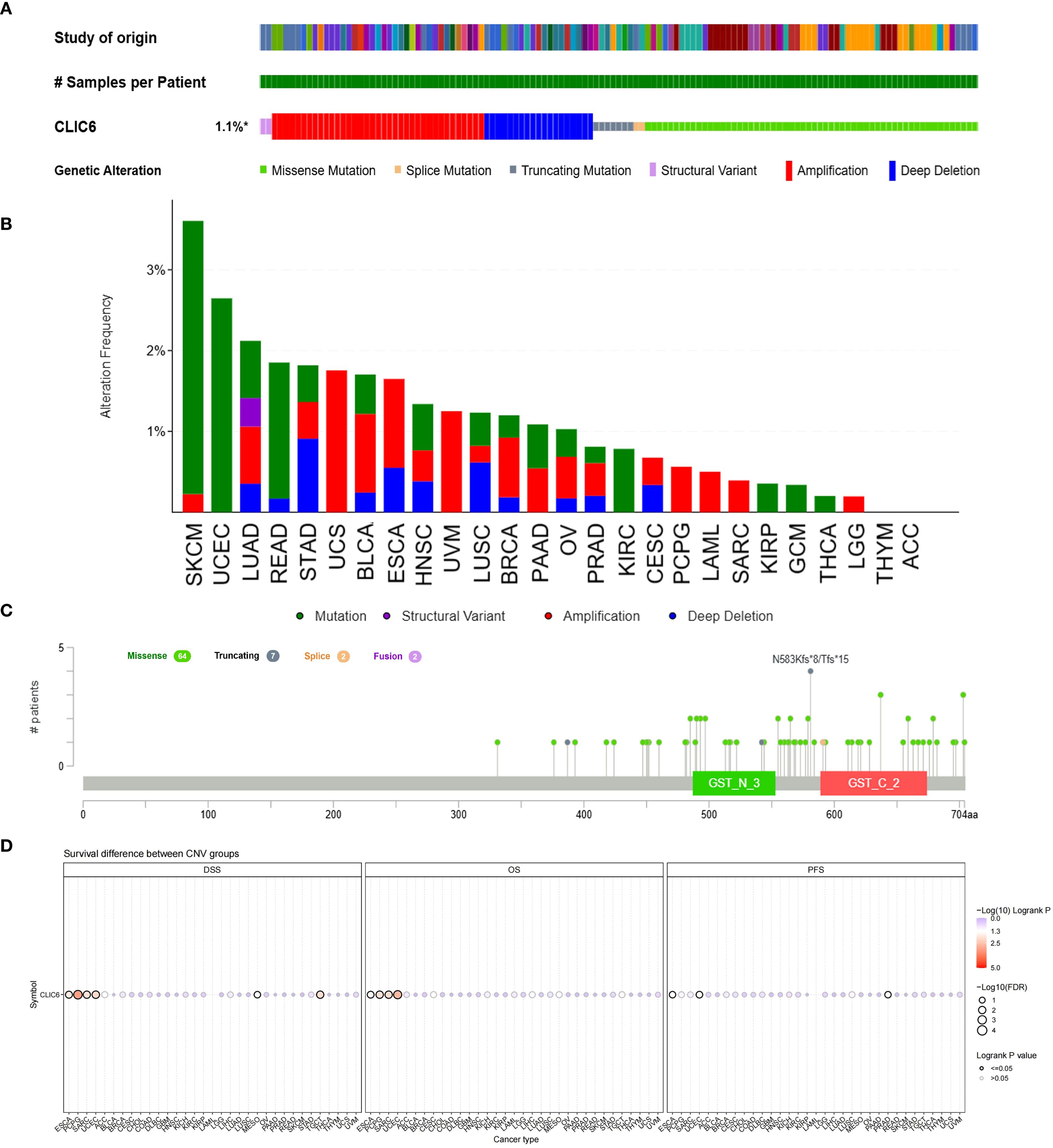 A set of charts analyzing the genetic alterations of CLIC6 across various cancer types. Part A shows the distribution of genetic alterations by patient study, with misense, truncating, and splice mutations among others. Part B is a bar chart displaying alteration frequencies in different cancers, with SKCM having the highest frequency. Part C presents a plot of mutations in patients, with details of specific variants like GST_N_3 and GST_C_2. Part D shows survival analysis among CNV groups across cancer types, highlighting differences using logrank P values.