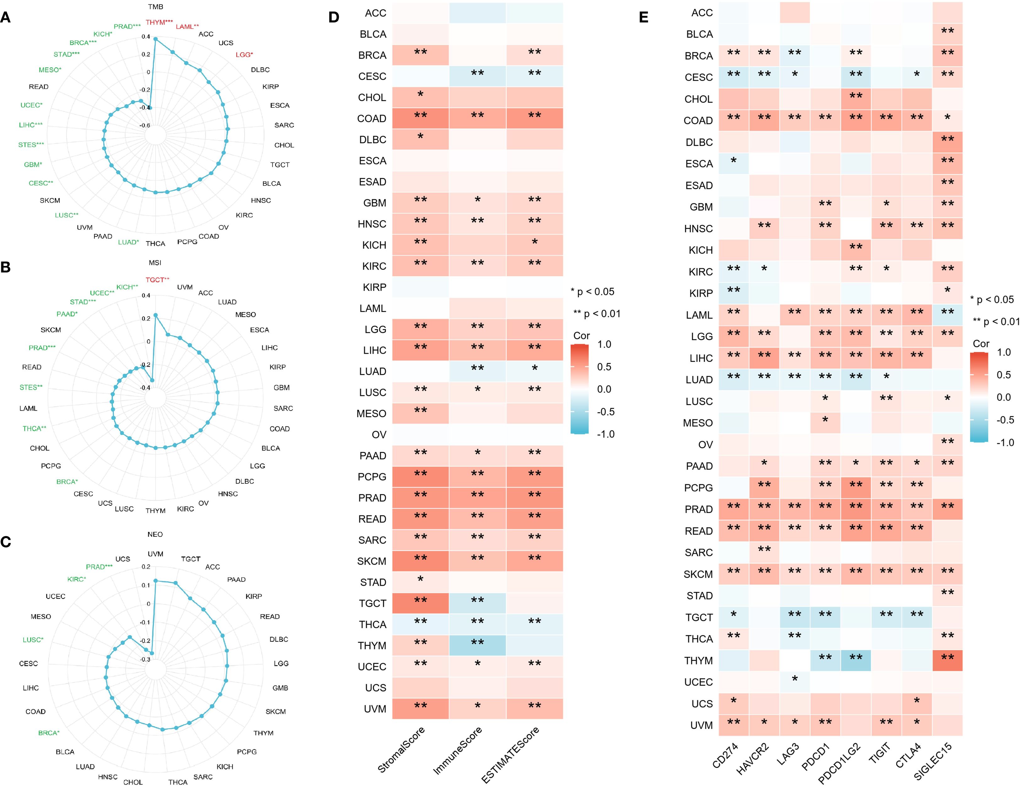 Radar charts labeled A, B, and C on the left compare TMB, MSI to various cancers. Heatmaps labeled D and E on the right indicate correlation of cancer types with different variables, color-coded by correlation value, with a significance indication.