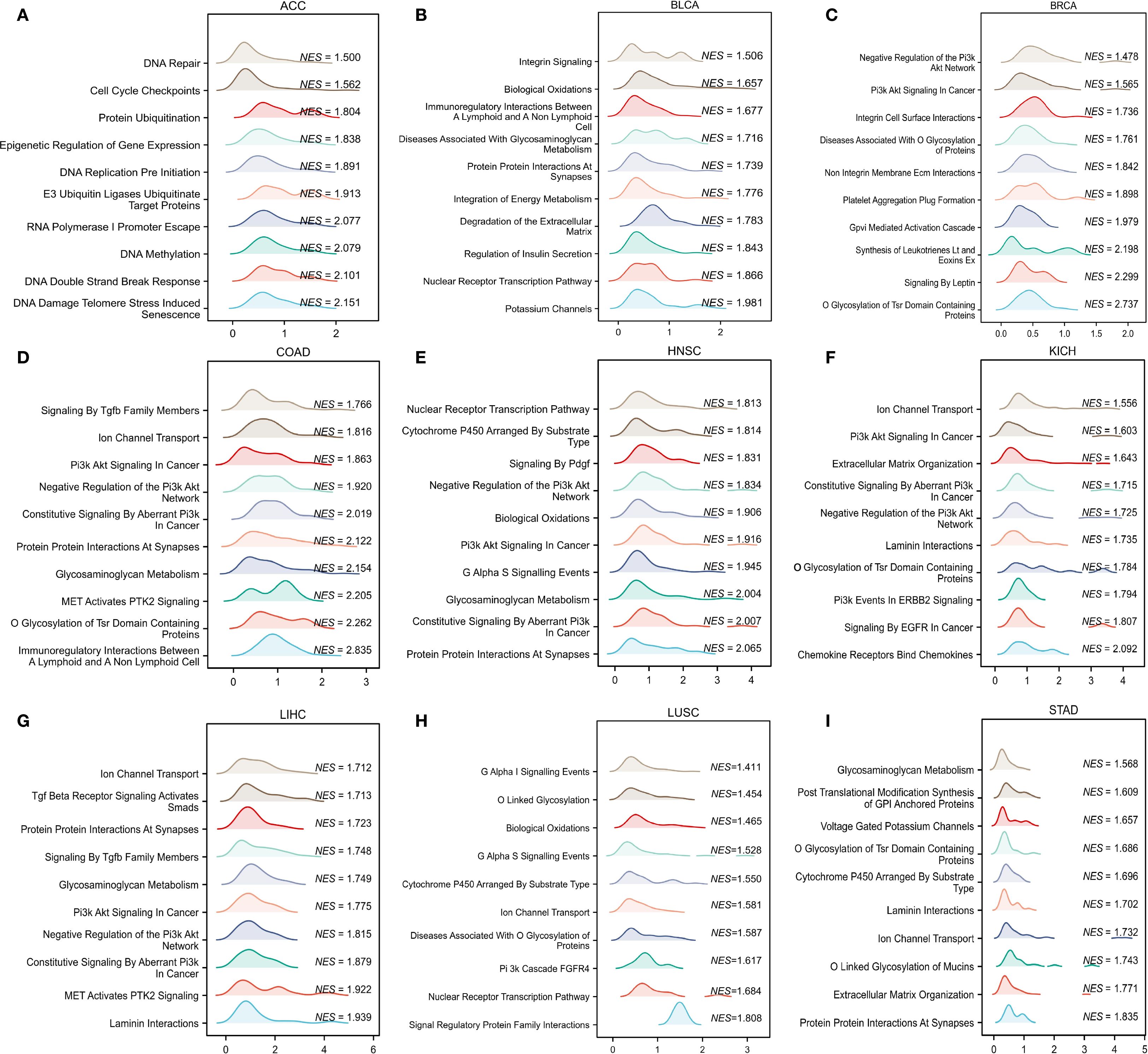 Nine panels labeled A to I, each displaying a line graph with ENSEMBLE normalized enrichment scores (NES) for different pathways across various cancer types (ACC, BLCA, BRCA, COAD, HNSC, KICH, LIHC, LUSC, STAD). Each graph highlights specific pathways, such as DNA repair and PI3K signaling. The Y-axis lists pathways while the X-axis shows NES values, indicating pathway enrichment levels. Each line graph exhibits distinct peak patterns, emphasizing the relative activity of pathways in each cancer type.