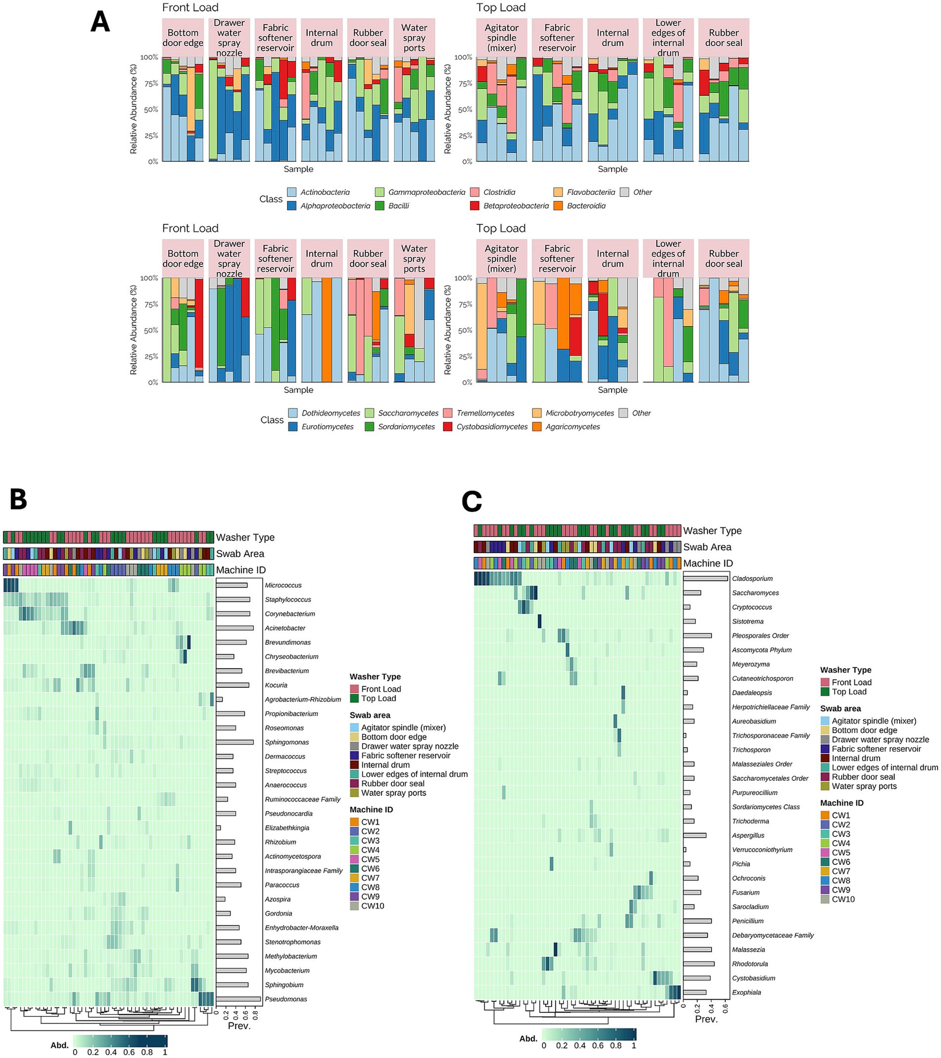 Section A shows bar charts comparing the relative abundance of bacterial and fungal classes in different parts of front-load and top-load washing machines. Sections B and C display heatmaps depicting the prevalence of various microbial taxa across different washer types, swab areas, and machine IDs, with a color-coded legend for wash locations and machine IDs.