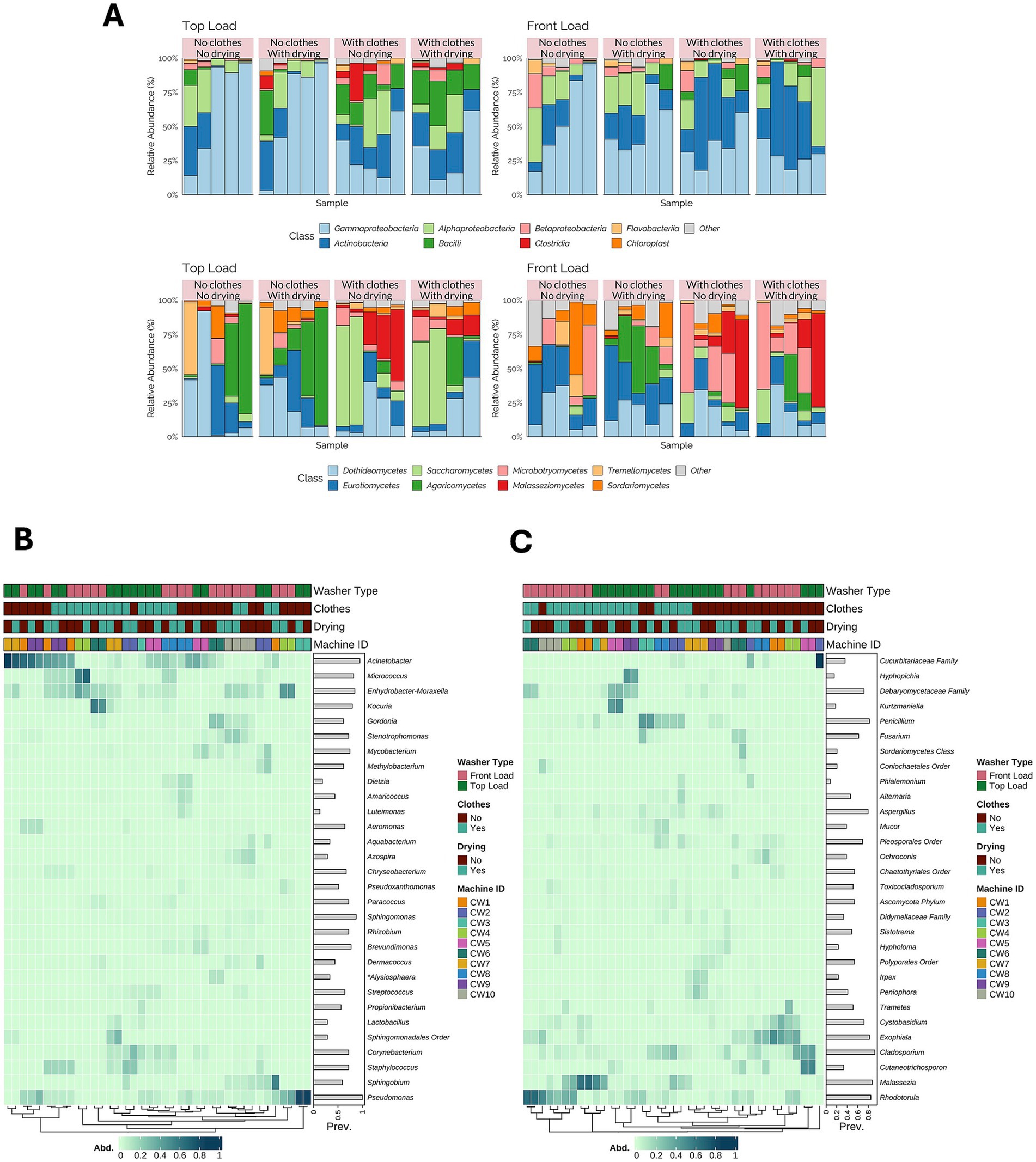 Panel A contains bar charts showing the relative abundance of microbial classes in top-load and front-load washing machines, with and without clothes, and with or without drying. Panel B and C are heatmaps depicting the abundance of different bacterial genera, categorized by washer type, presence of clothes, drying, and machine ID. Each heatmap includes a color-coded key for machine attributes and a greyscale key for prevalence among machine IDs.