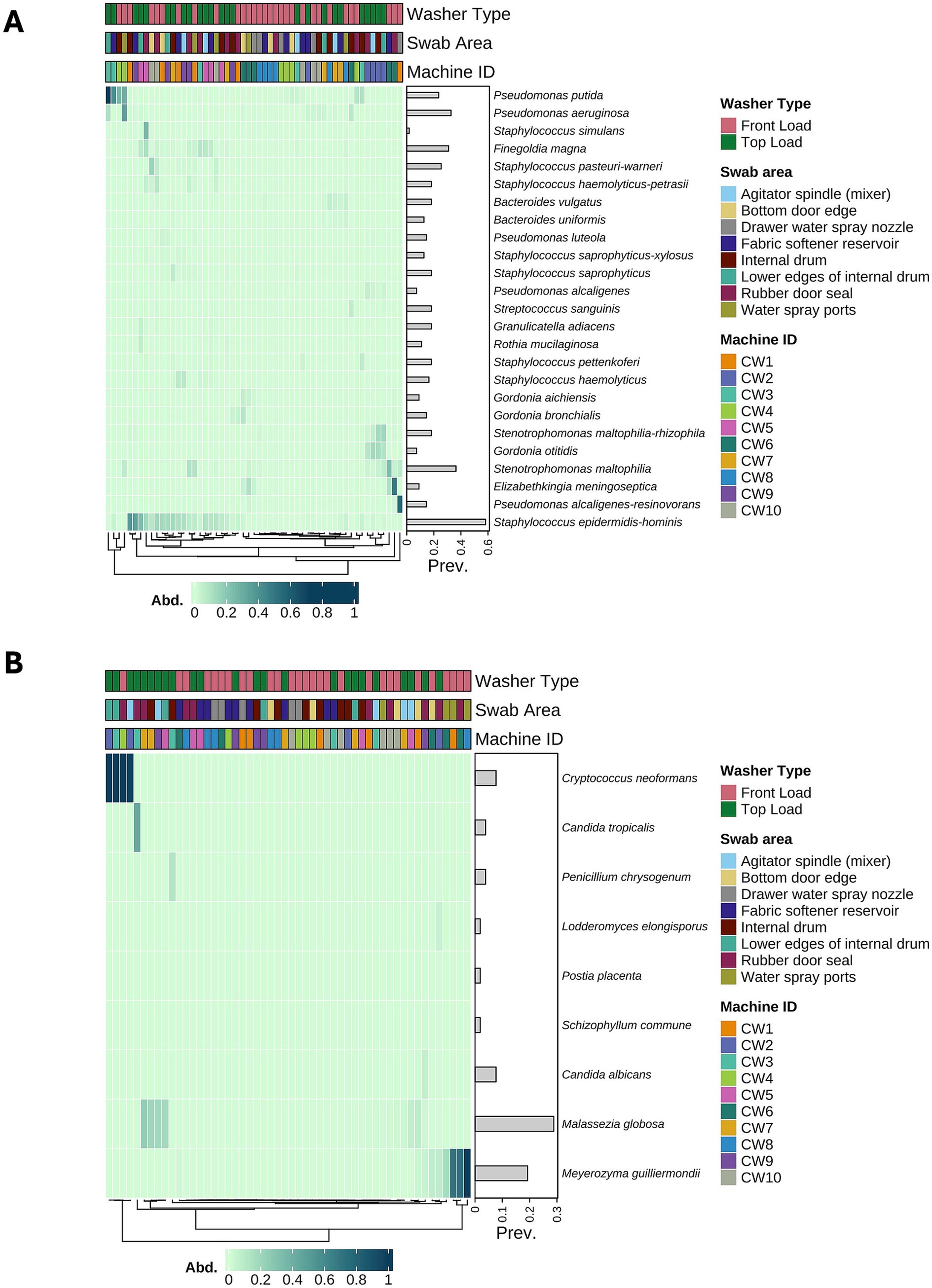 Heatmaps labeled A and B show microbial prevalence in washing machines. Both include color bars indicating washer type (front or top load), swab area, and machine ID. Taxon abundance is represented by color intensity. Panel A highlights various bacteria, while panel B focuses on fungi. The legend provides color codes for washer types, swab areas, and machine IDs.