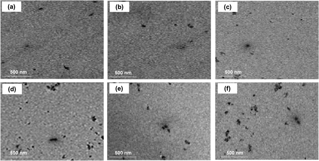 Six electron microscopy images labeled (a) to (f), each with a scale of 500 nanometers, show small dark spots on a textured grey background, increasing in spot density from (a) to (f).