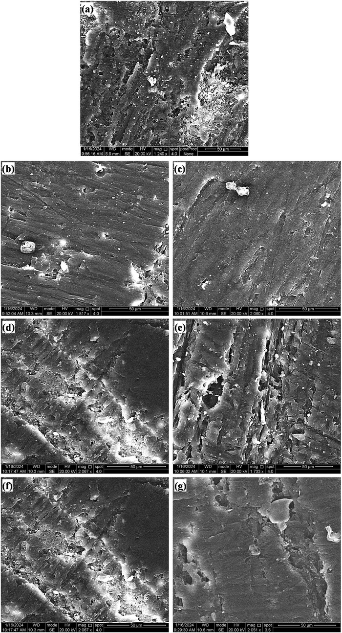 Seven scanning electron microscope (SEM) images labeled (a) through (g) depict various surface textures and structures. Images show different magnifications and details, including rough surfaces, grooves, and scattered particles. All images include scale bars indicating 50 micrometers and image details such as magnification levels, working distance, and high voltage settings.