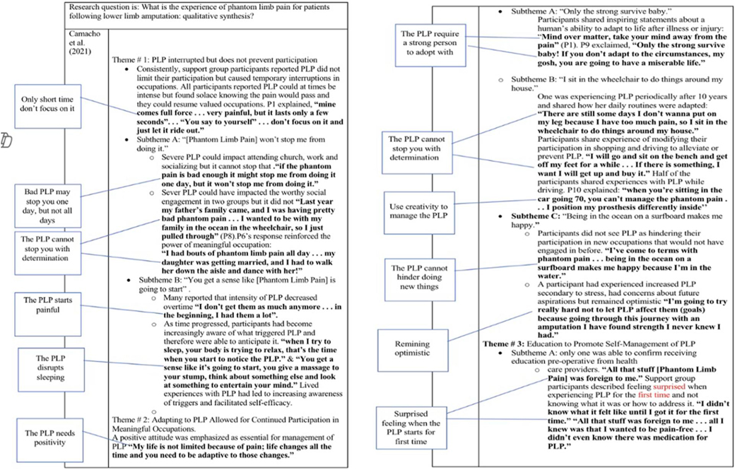 A thematic analysis chart summarizes findings from a qualitative synthesis by Camacho et al. (2021) on phantom limb pain (PLP) experiences following lower limb amputation. The chart addresses three main themes: (1) PLP interrupts but does not prevent participation in meaningful activities, (2) adapting to PLP supports continued engagement in meaningful occupations, and (3) education is needed for self-management of PLP. It includes direct participant quotes, subthemes such as determination, creativity, and positivity, and highlights personal coping strategies. Arrows connect summarized insights on the left and right to supporting quotes and themes in the center panel. A table summarizes participant quotes from Camacho et al. (2021) regarding phantom limb pain (PLP) experiences, organized into three columns: