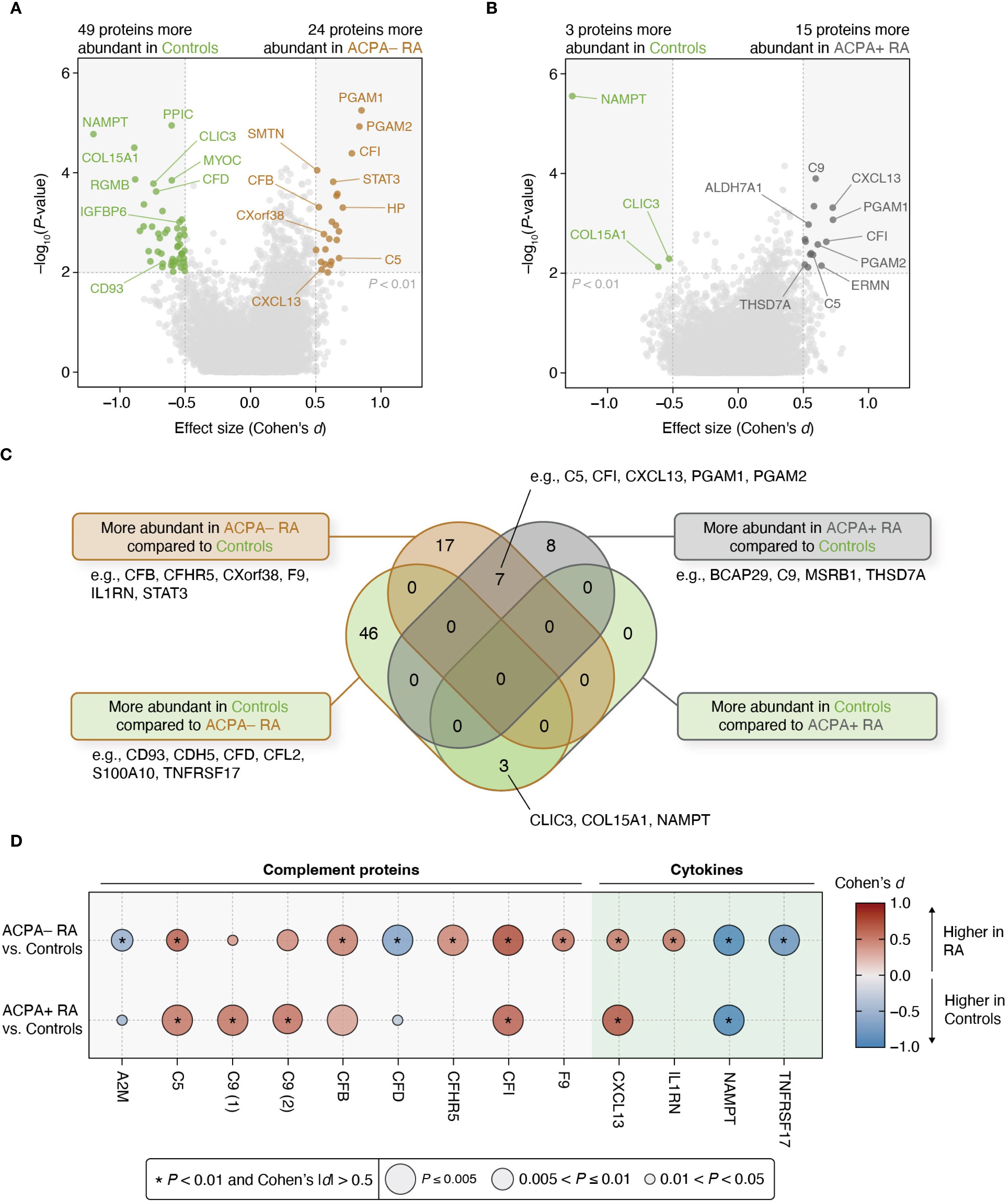Protein abundance comparisons between ACPA-negative, ACPA-positive rheumatoid arthritis (RA), and control groups. Panels A and B are volcano plots showing differential protein abundance with significant proteins labeled. Panel C is a Venn diagram illustrating the overlap in protein abundance differences across groups. Panel D is a bubble plot displaying effect sizes and significance for complement proteins and cytokines, with a color gradient indicating effect size direction.