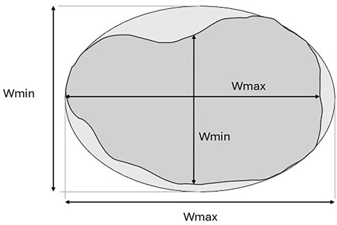An irregular oval-shaped object with dimensions labeled Wmin for minimum width and Wmax for maximum width. Arrows indicate horizontal Wmax and Wmin across the longest and shortest widths respectively, and vertical Wmin and Wmax for height. The object is shaded grey.