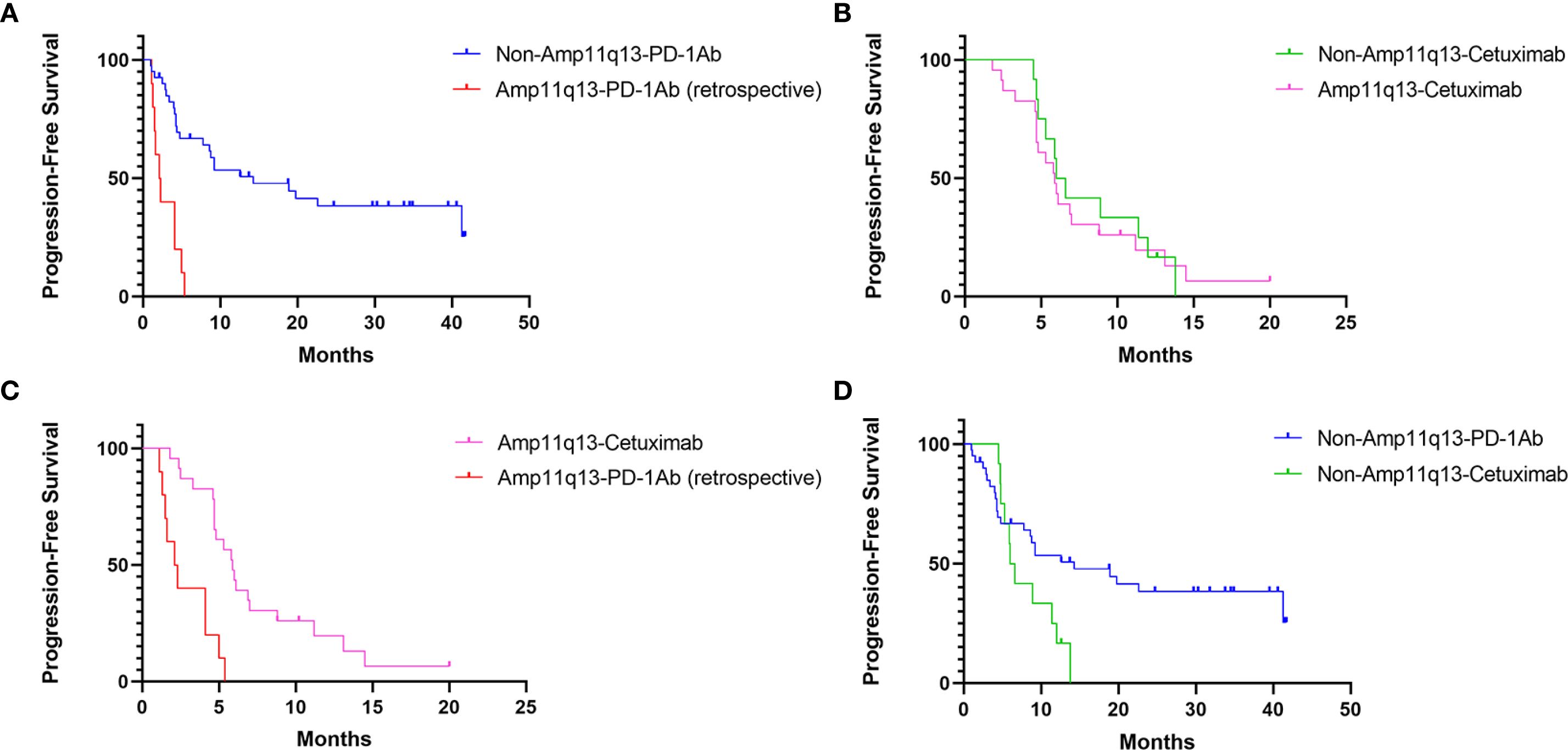 Graphs A, B, C, and D compare progression-free survival over time in months for different treatments. Graph A contrasts Non-Amp11q13-PD-1Ab with Amp11q13-PD-1Ab (retrospective).Graph B shows Non-Amp11q13-Cetuximab versus Amp11q13-Cetuximab. Graph C compares Amp11q13-Cetuximab with Amp11q13-PD-1Ab (retrospective). Graph D contrasts Non-Amp11q13-PD-1Ab with Non-Amp11q13 Cetuximab. Each graph displays distinct survival curves.