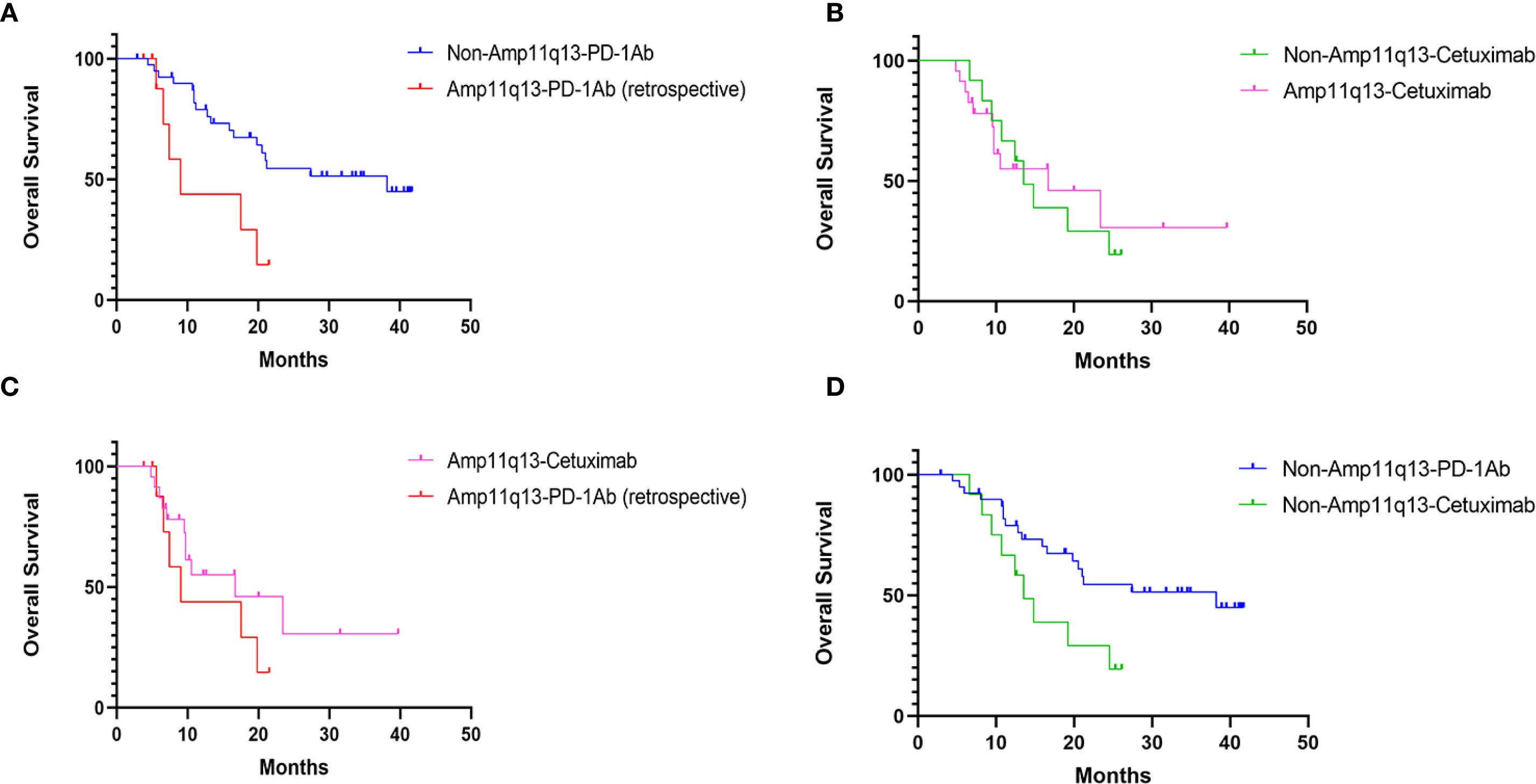 Four Kaplan-Meier survival curves labeled A, B, C, and D compare overall survival over 50 months. Chart A shows Non-Amp11q13-PD-1Ab versus Amp11q13-PD-1Ab (retrospective). Chart B compares Non-Amp11q13-Cetuximab and Amp11q13-Cetuximab. Chart C depicts Amp11q-Cetuximab against Amp11q-PD-1Ab (retrospective). Chart D compares Non-Amp11q13-PD-1Ab and Non-Amp11q13-Cetuximab. Each chart illustrates survival trends with different treatments.
