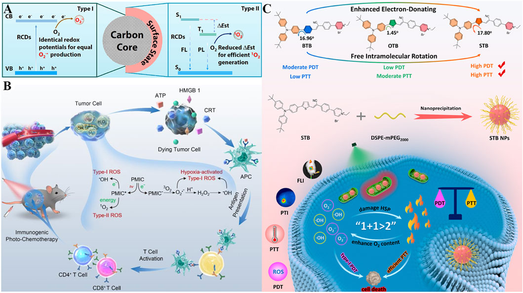 Diagram explaining the process of phototherapy for tumor cells, featuring three panels: A shows carbon core mechanisms for oxygen species production, B illustrates tumor cell response and T cell activation, and C details molecular structures and nanoprecipitation forming STB nanoparticles. The process highlights photothermal and photodynamic therapy efficiency and immune response activation.